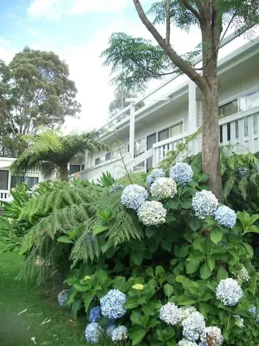 Garden view, Property Building in Top of the Lake Holiday Units