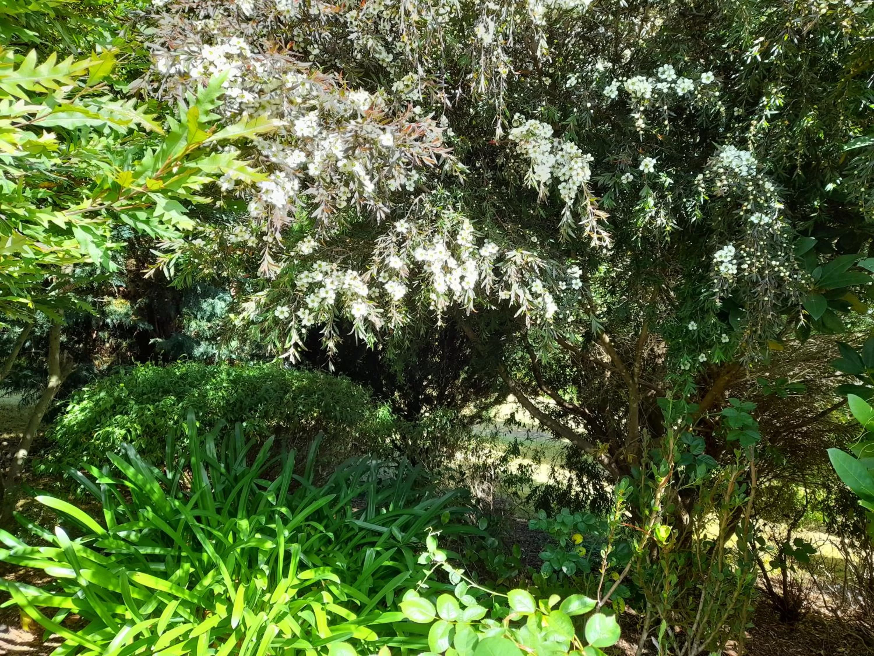 Hillside Bed and Breakfast