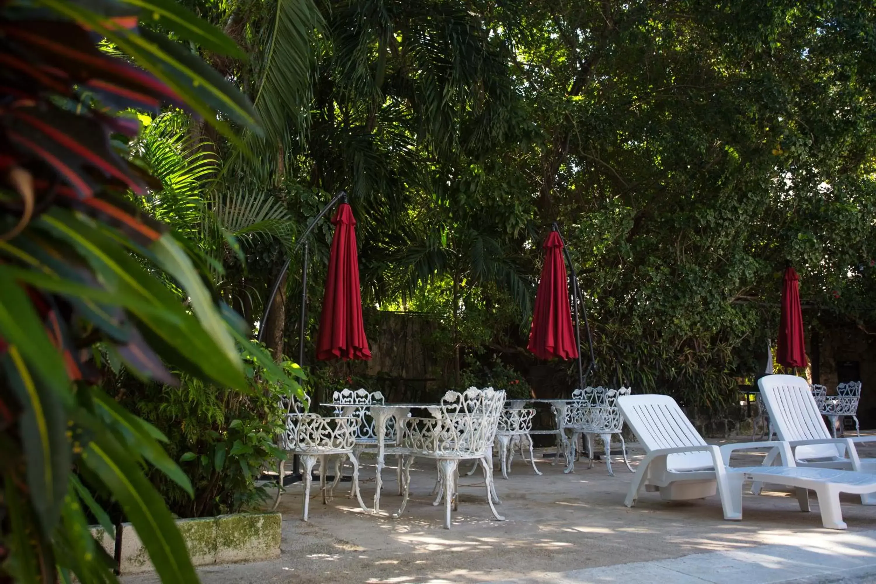 Garden in Hotel Xbalamqué & Spa Cancún Centro