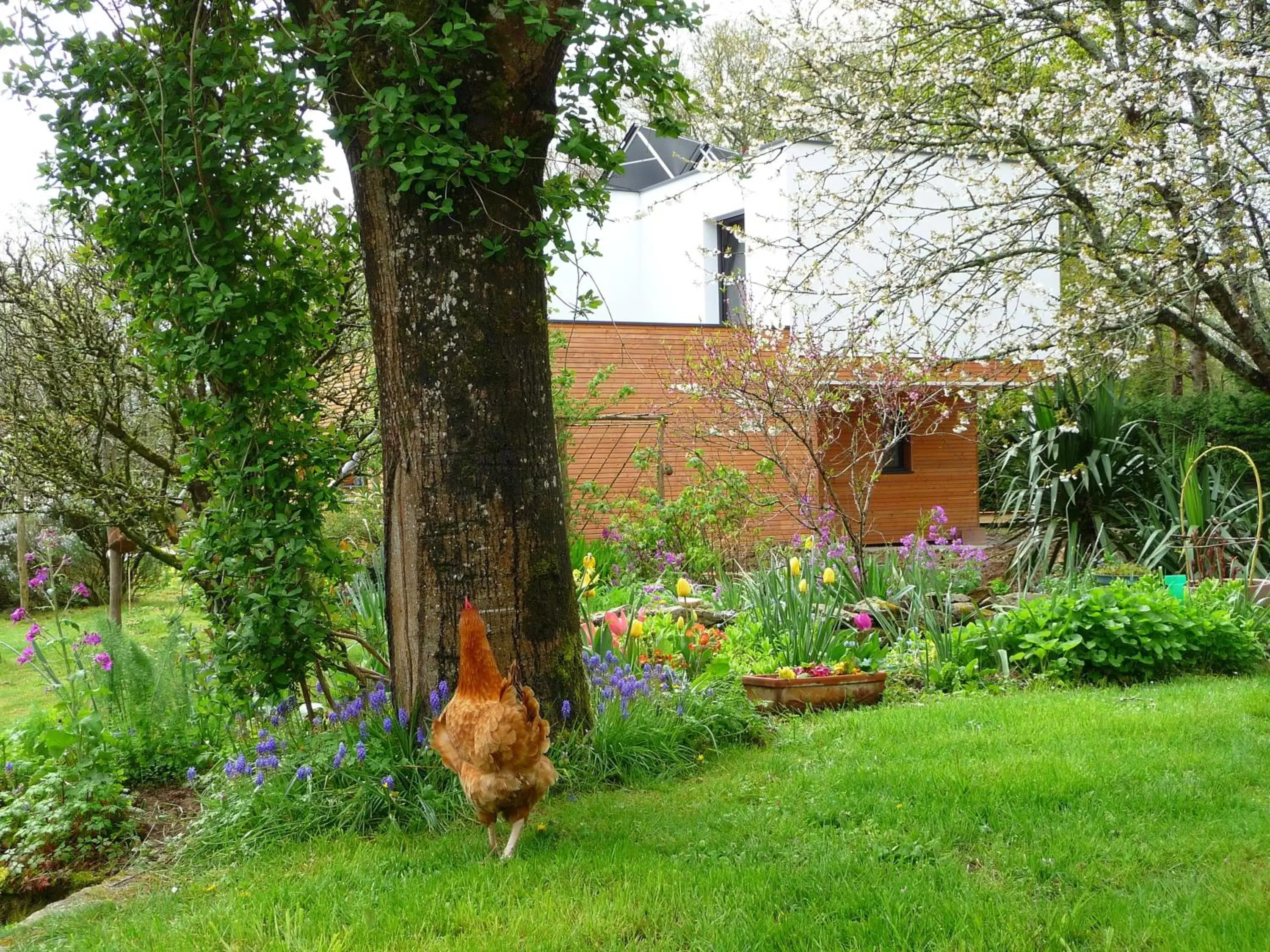 Facade/entrance, Garden in Le Jardin aux Oiseaux