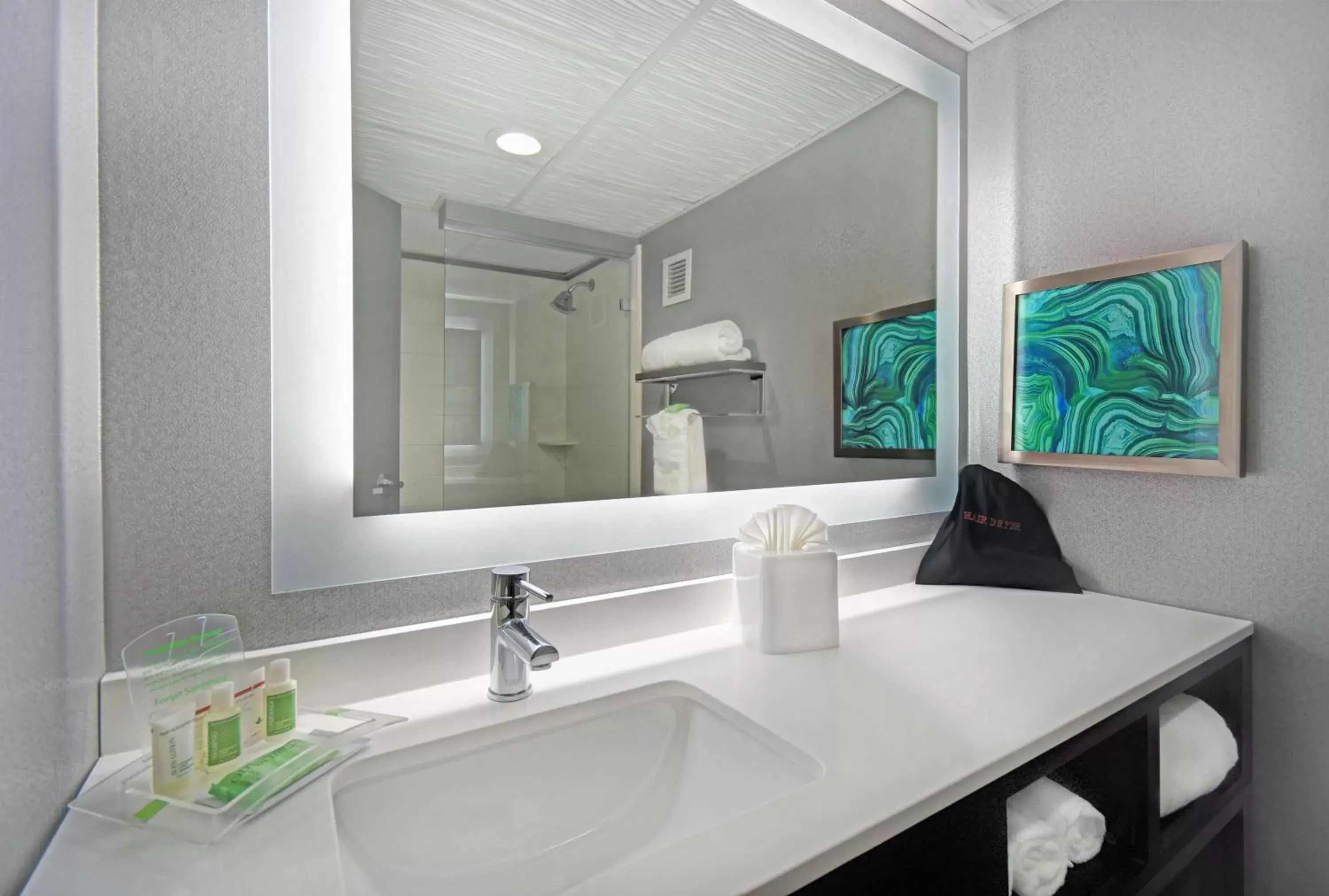 Double Room with Two Double Beds and City View - Non-Smoking in Holiday Inn - Memphis Downtown - Beale St., an IHG Hotel Double Room with Two Double Beds and City View - Non-Smoking in Holiday Inn - Memphis Downtown - Beale St., an IHG Hotel