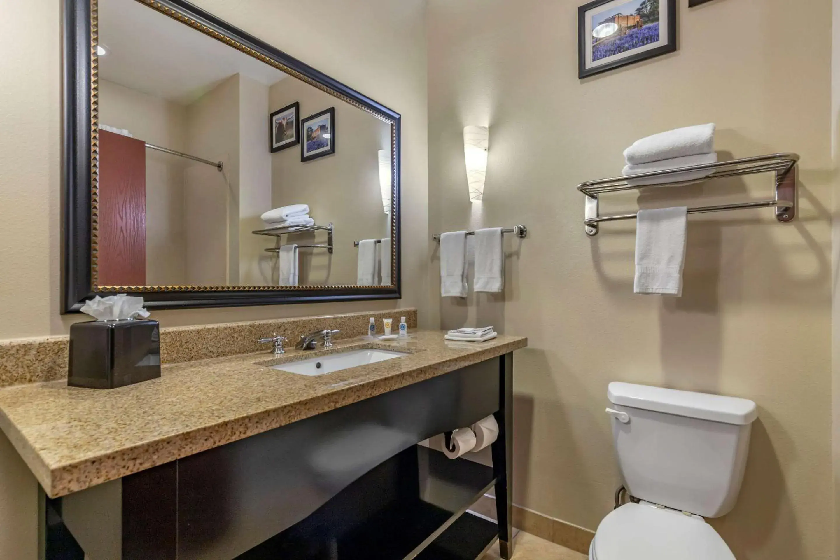 Photo of the whole room, Bathroom in Comfort Suites Buda