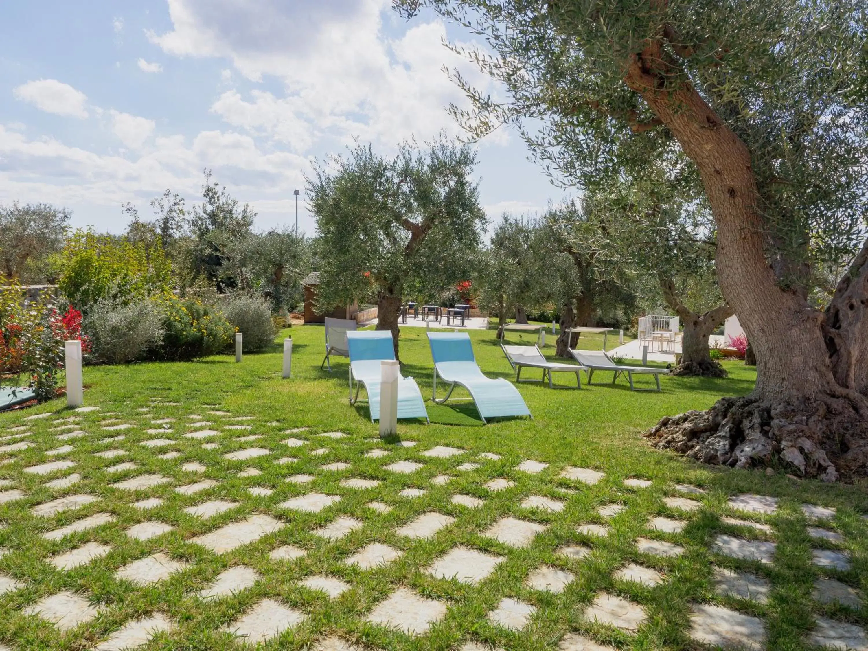 Garden, Swimming Pool in Rifugio di Puglia - Trulli & Dimore