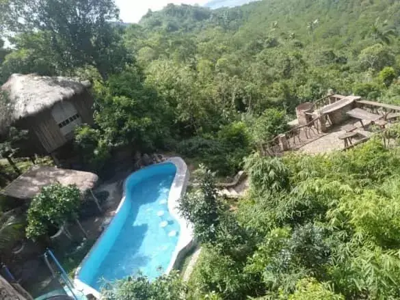 Pool View in Sanctuaria Treehouses Busuanga