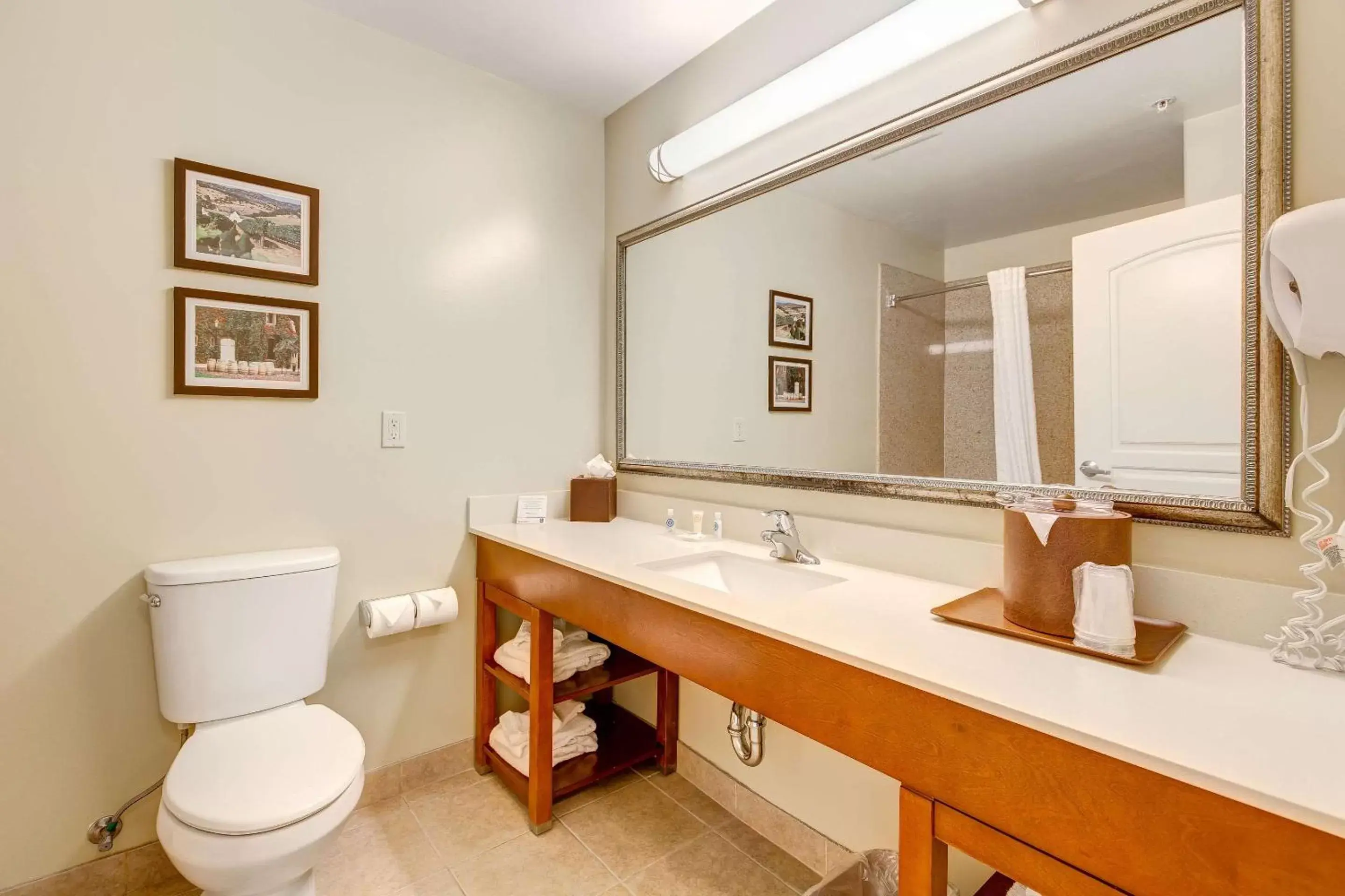 Bathroom in Comfort Inn Pomona Near FairPlex