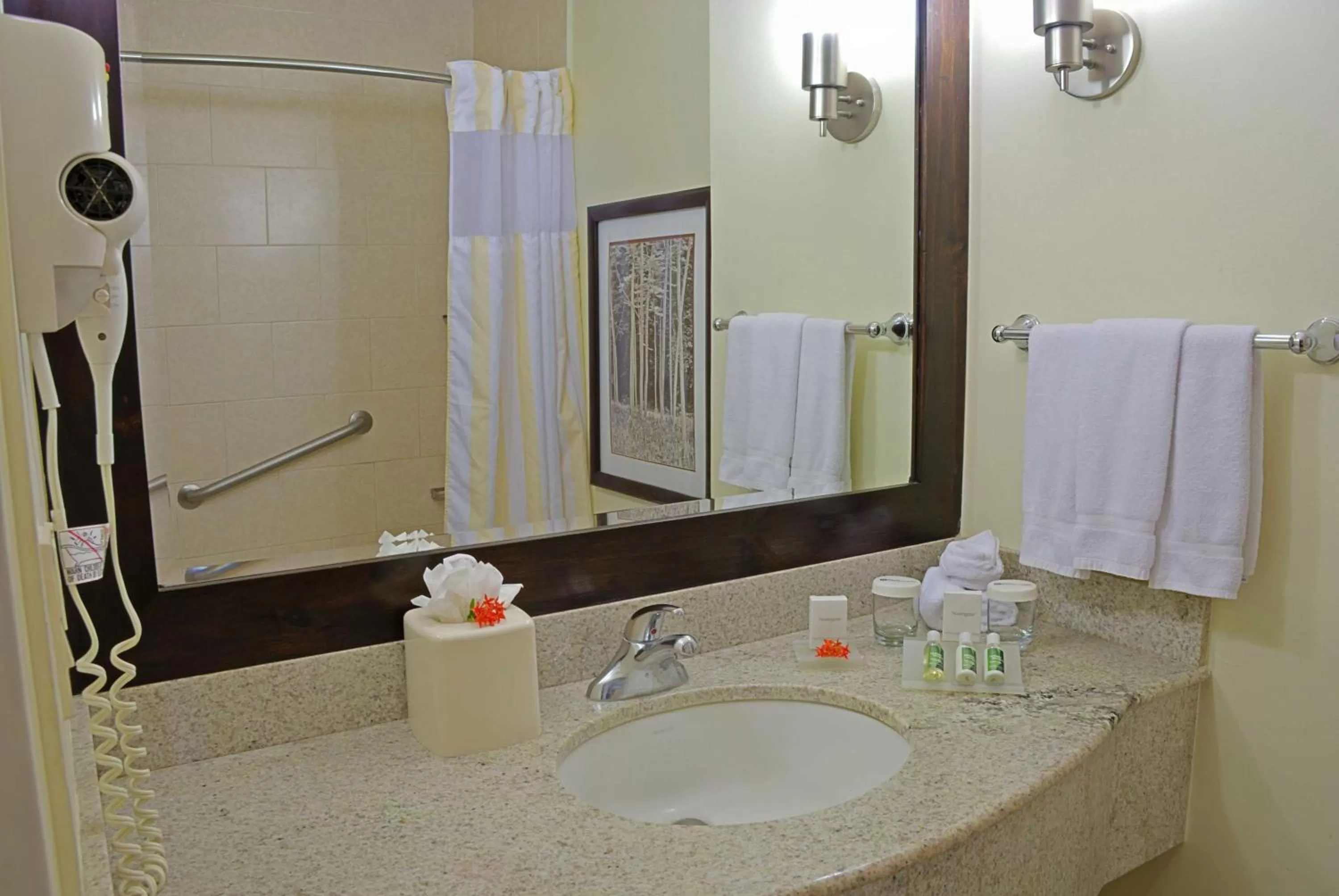Bathroom in Hilton Garden Inn Guanacaste Airport