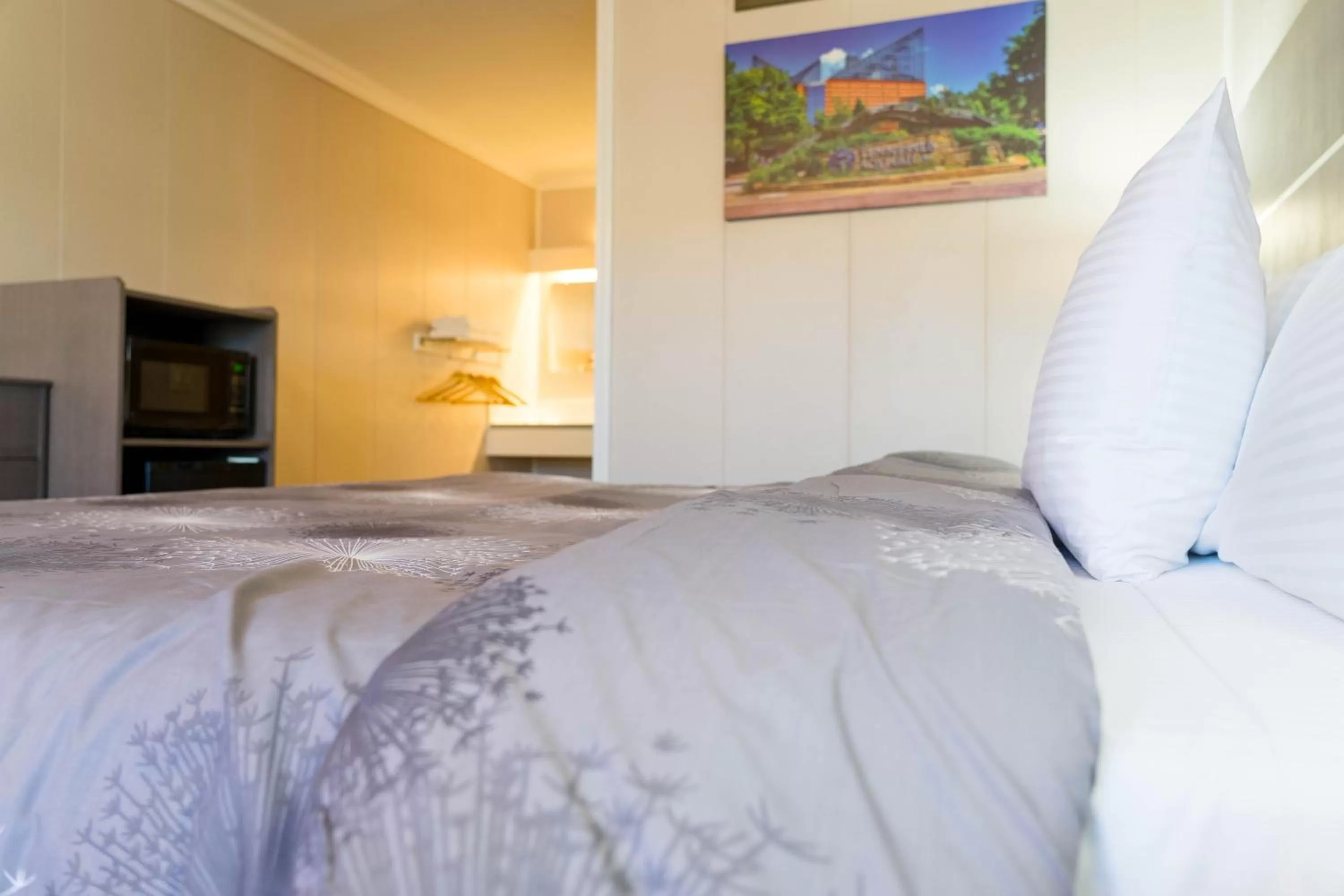 Bed in Stay Express Inn Chattanooga