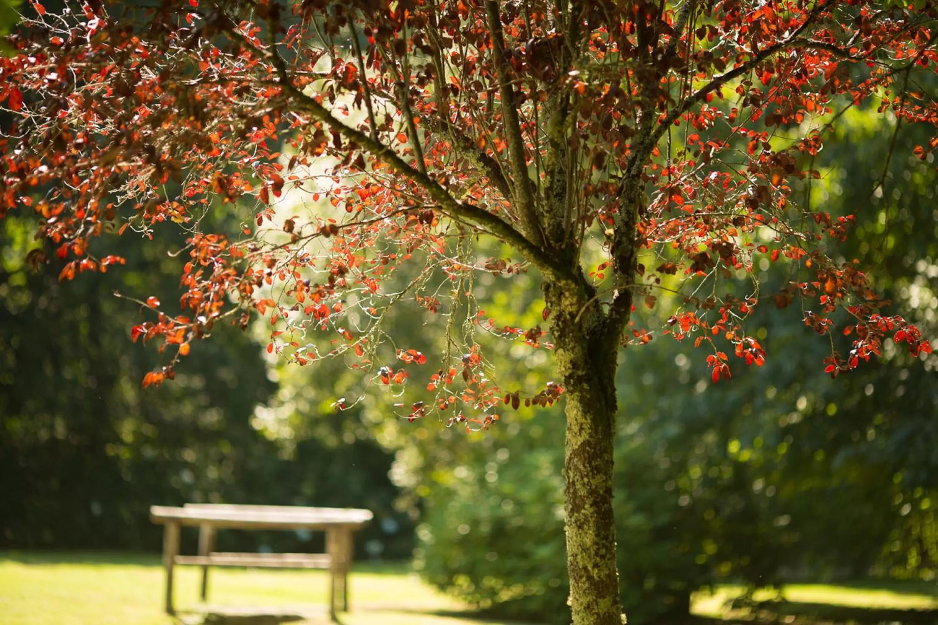 Garden in Casa a Pedreira Rias Baixas
