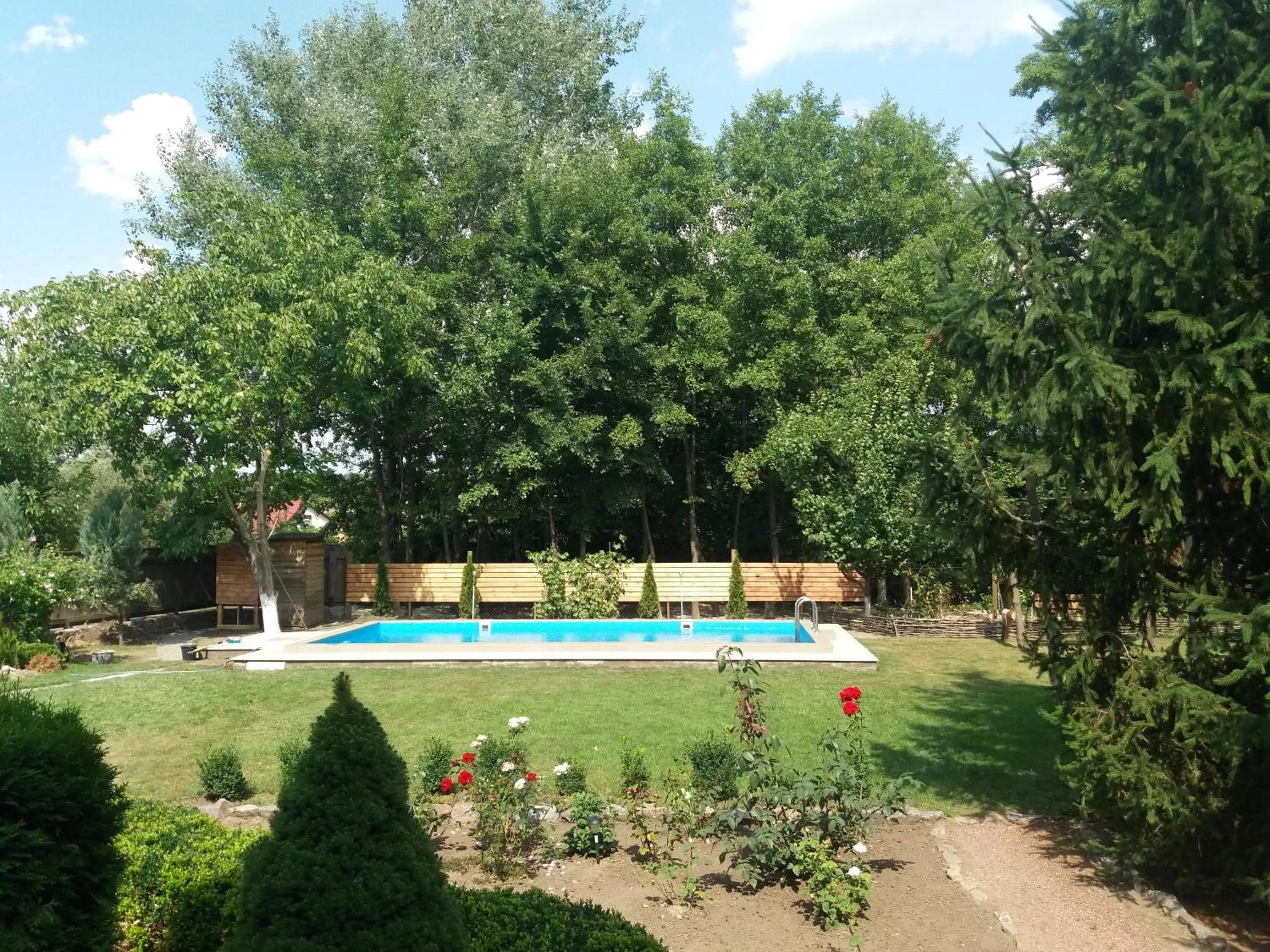 Swimming pool in Slavyanskiy Club
