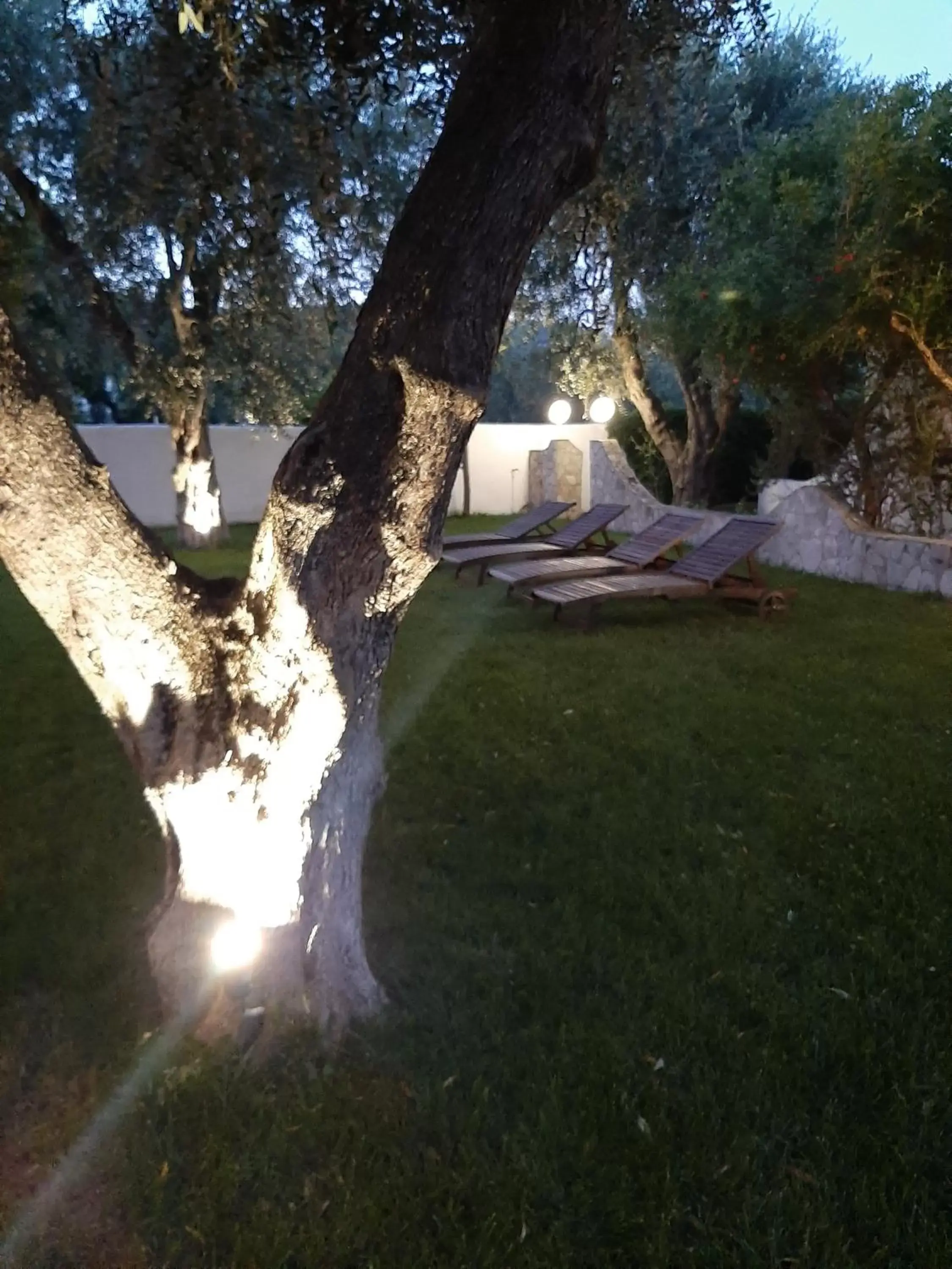 Patio in Hotel Il Melograno