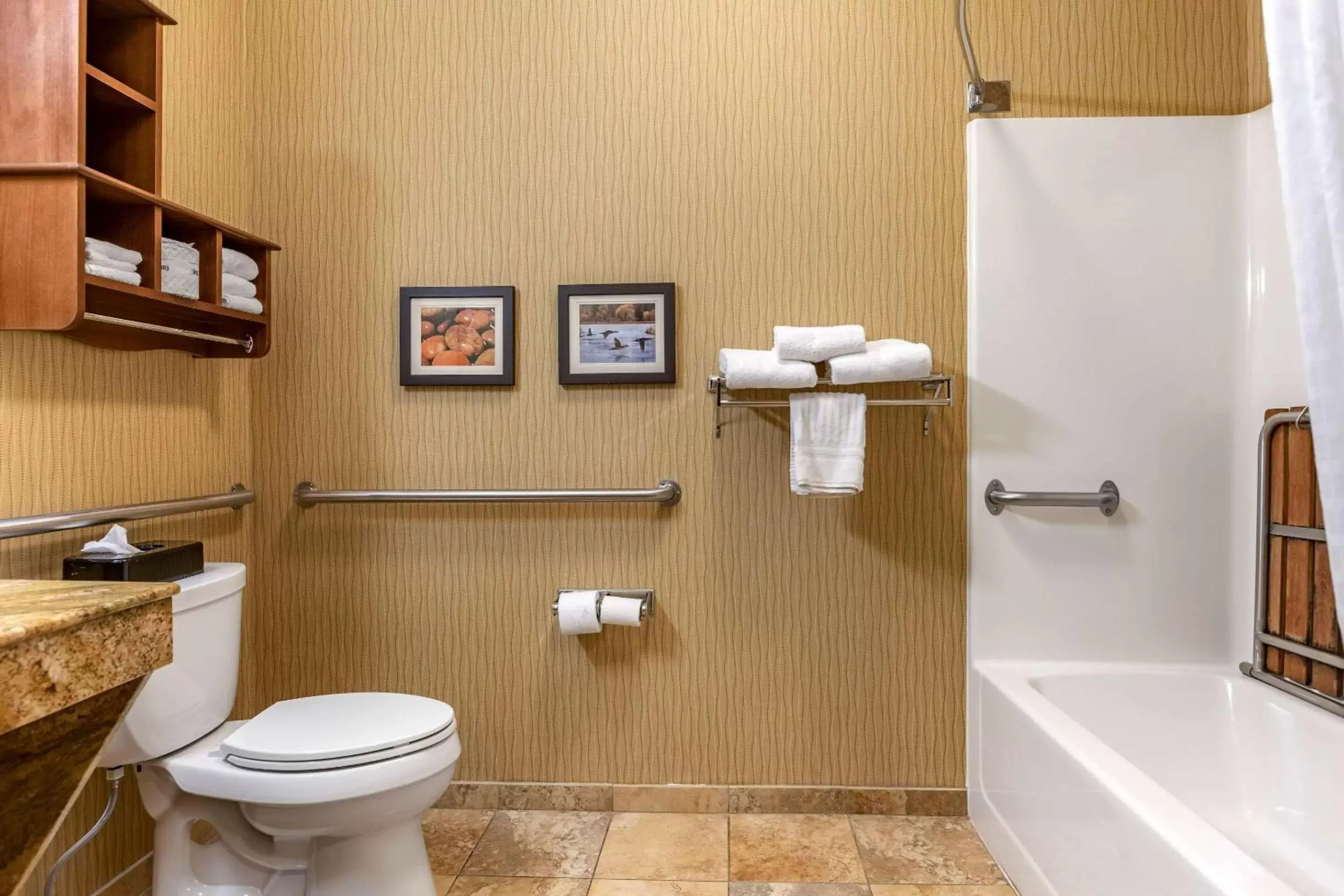 Bathroom in Comfort Inn Wings Stadium