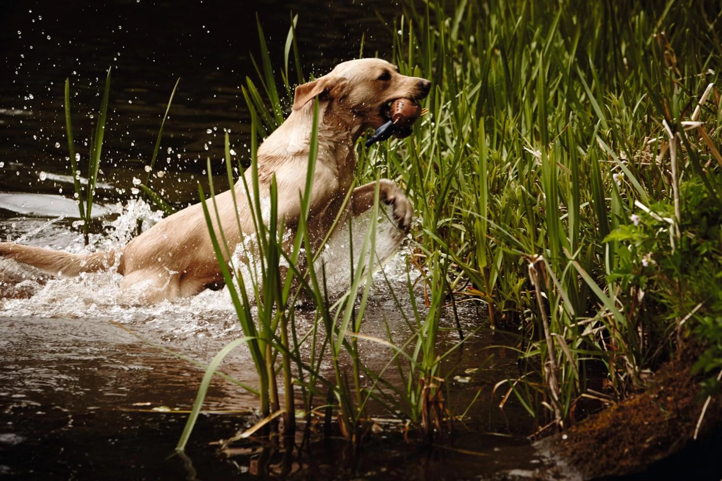 Activities in The Gleneagles Hotel
