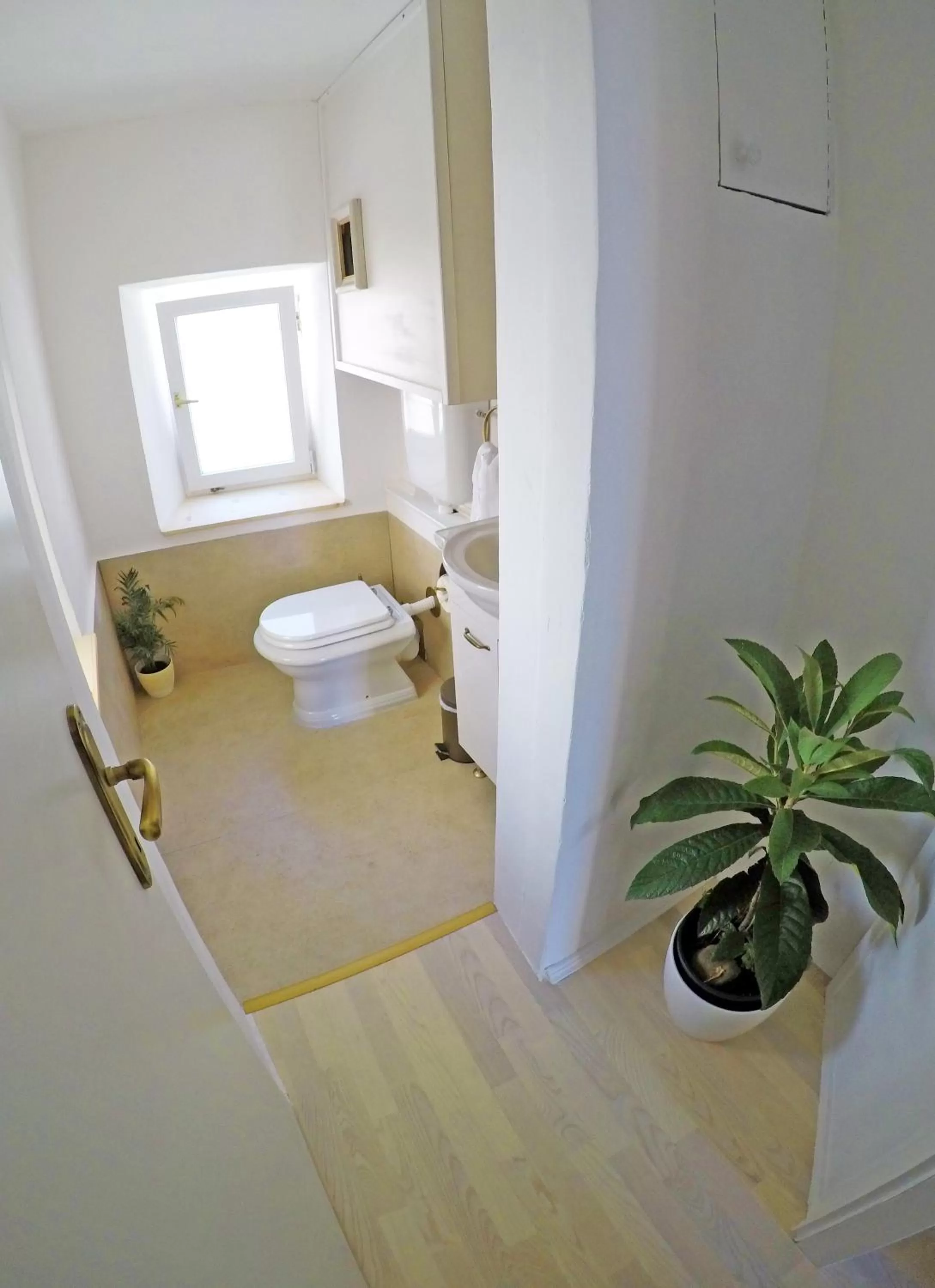 Bathroom in Swan City Apartment & Room