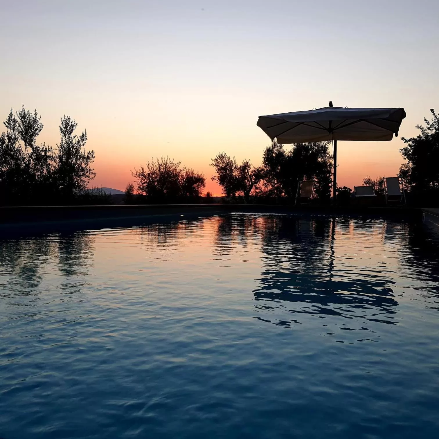 Swimming Pool in Casale Druida