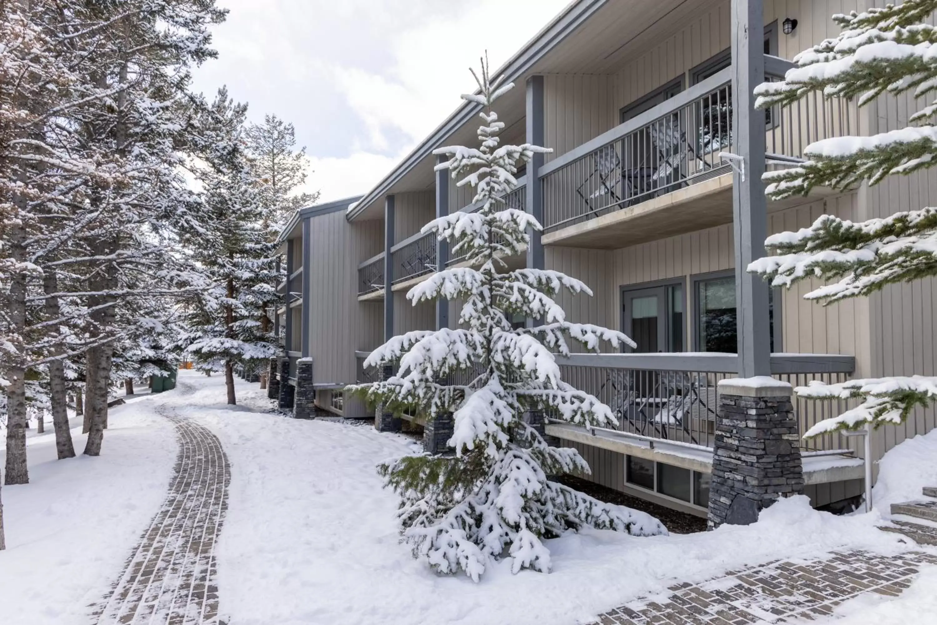 Property building, Winter in Tunnel Mountain Resort