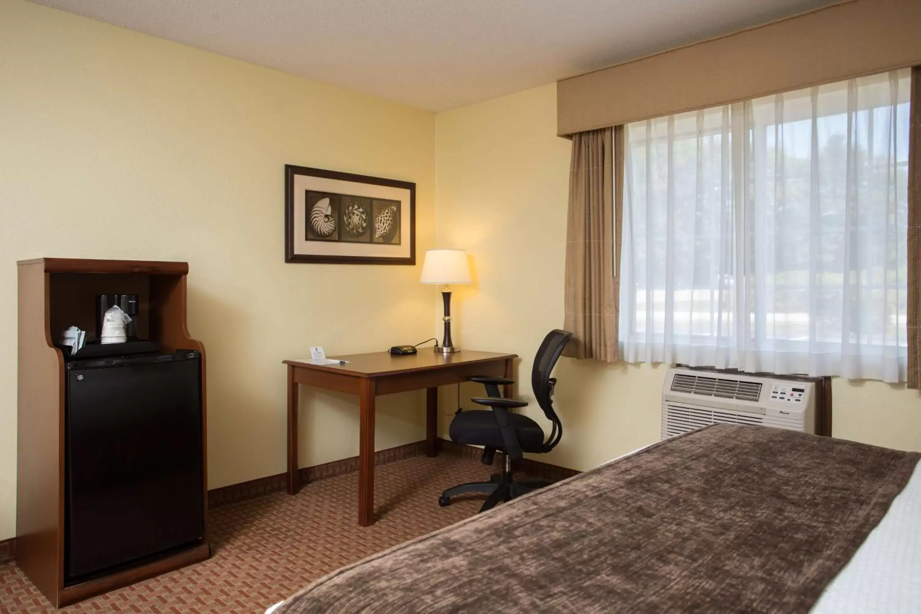 Photo of the whole room, Bed in Best Western York Inn