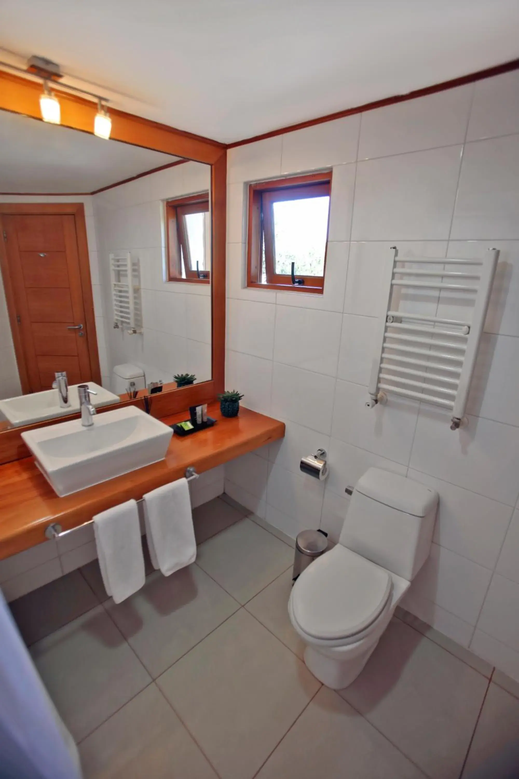 Bathroom in Hotel Puelche