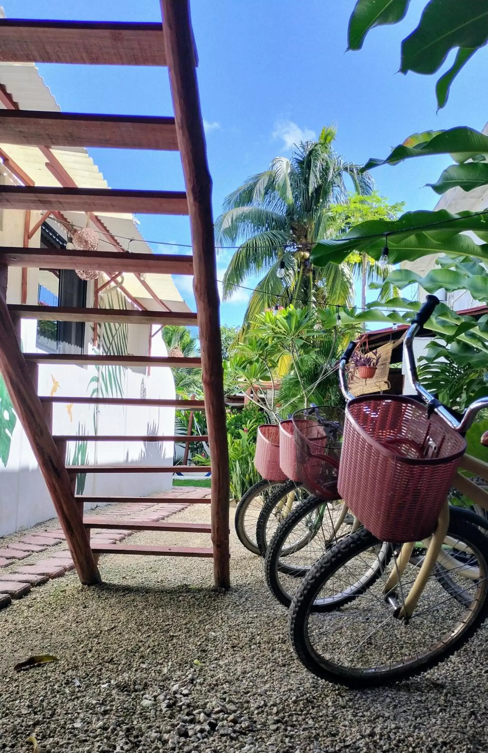 Cycling in teki-sha home&suites