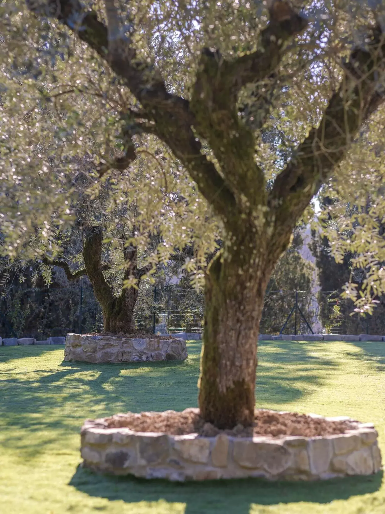 Garden in Rivo della Corte