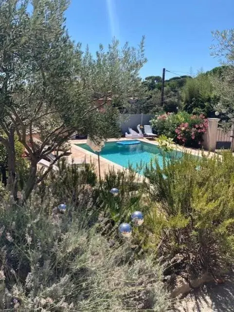 Swimming Pool in Lone Star House