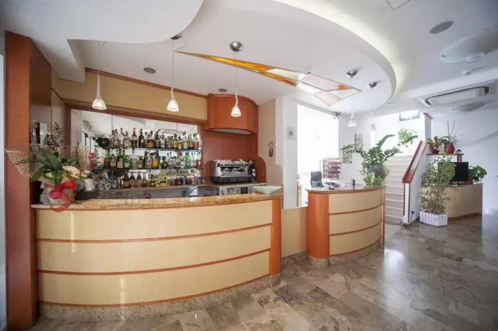 Activities, Lounge/Bar in Hotel Zurigo