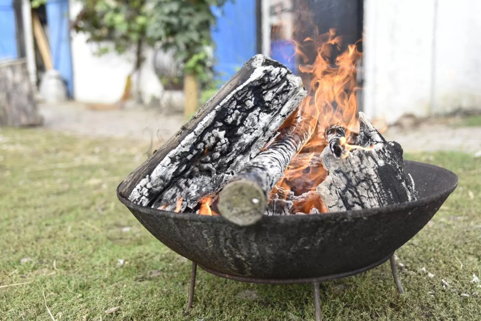 Garden in Skortskær Bondegårdsferie