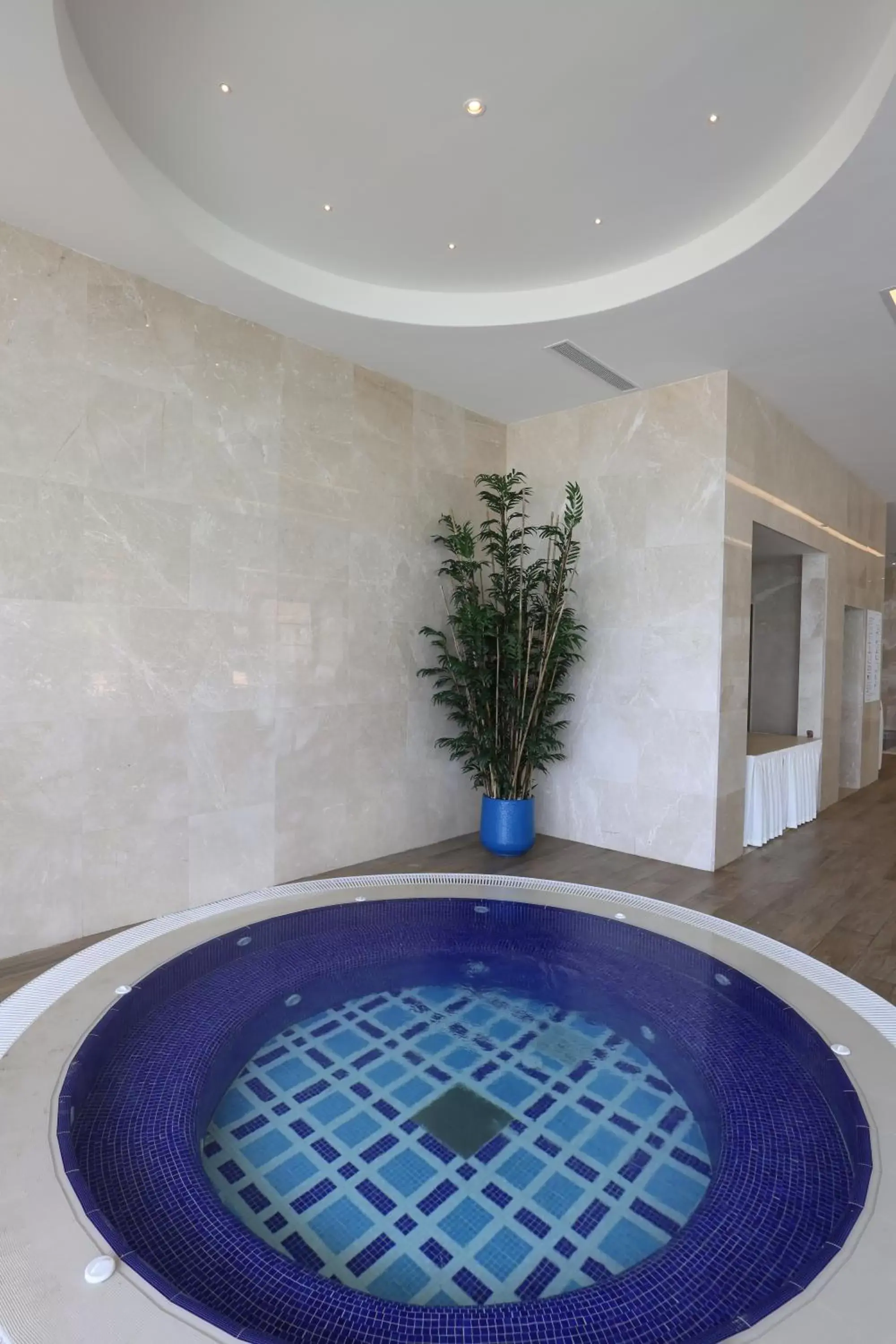 Hot Tub, Swimming Pool in Charisma De Luxe Hotel