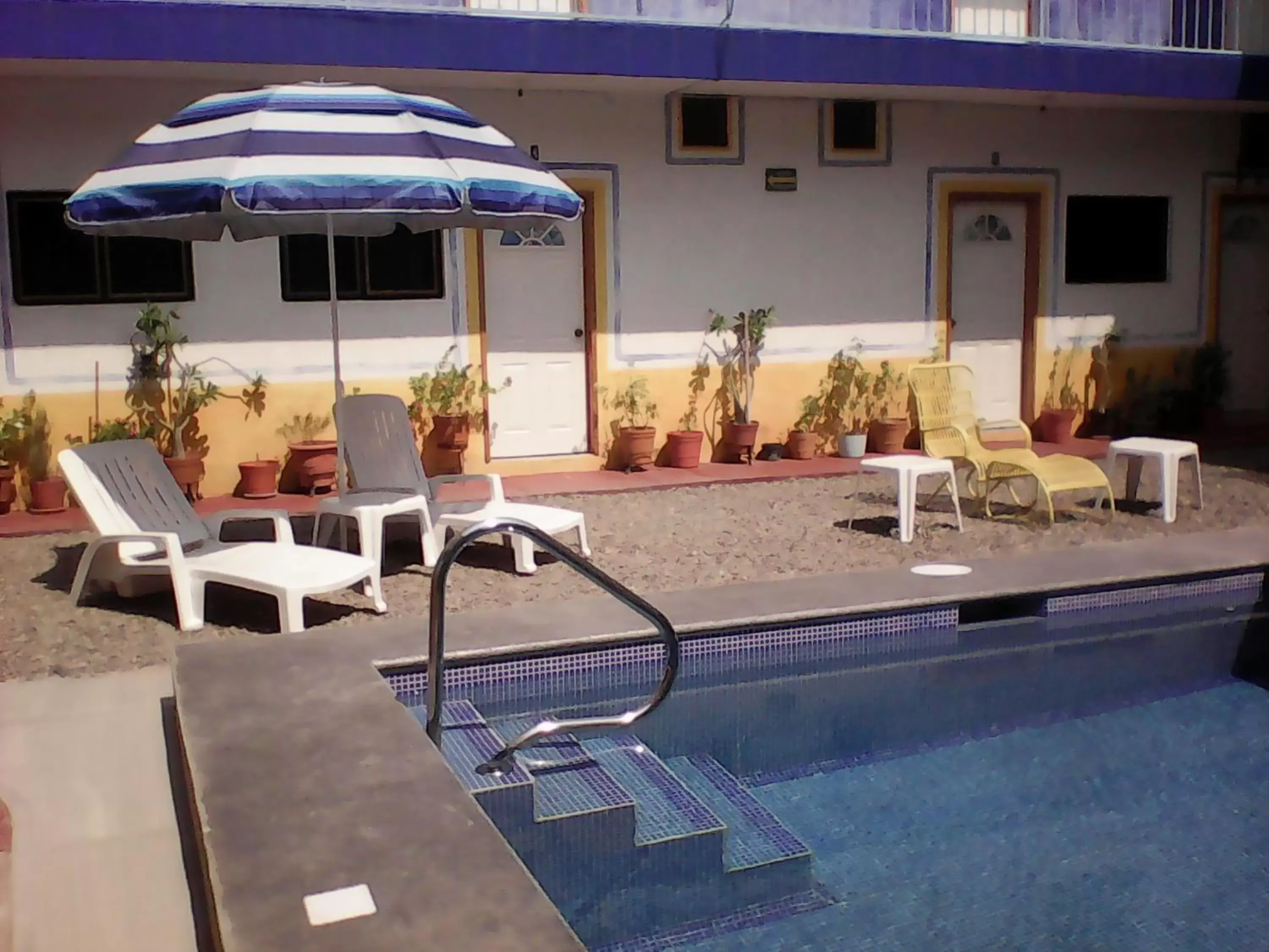 , Swimming Pool in Hotel Sarabi