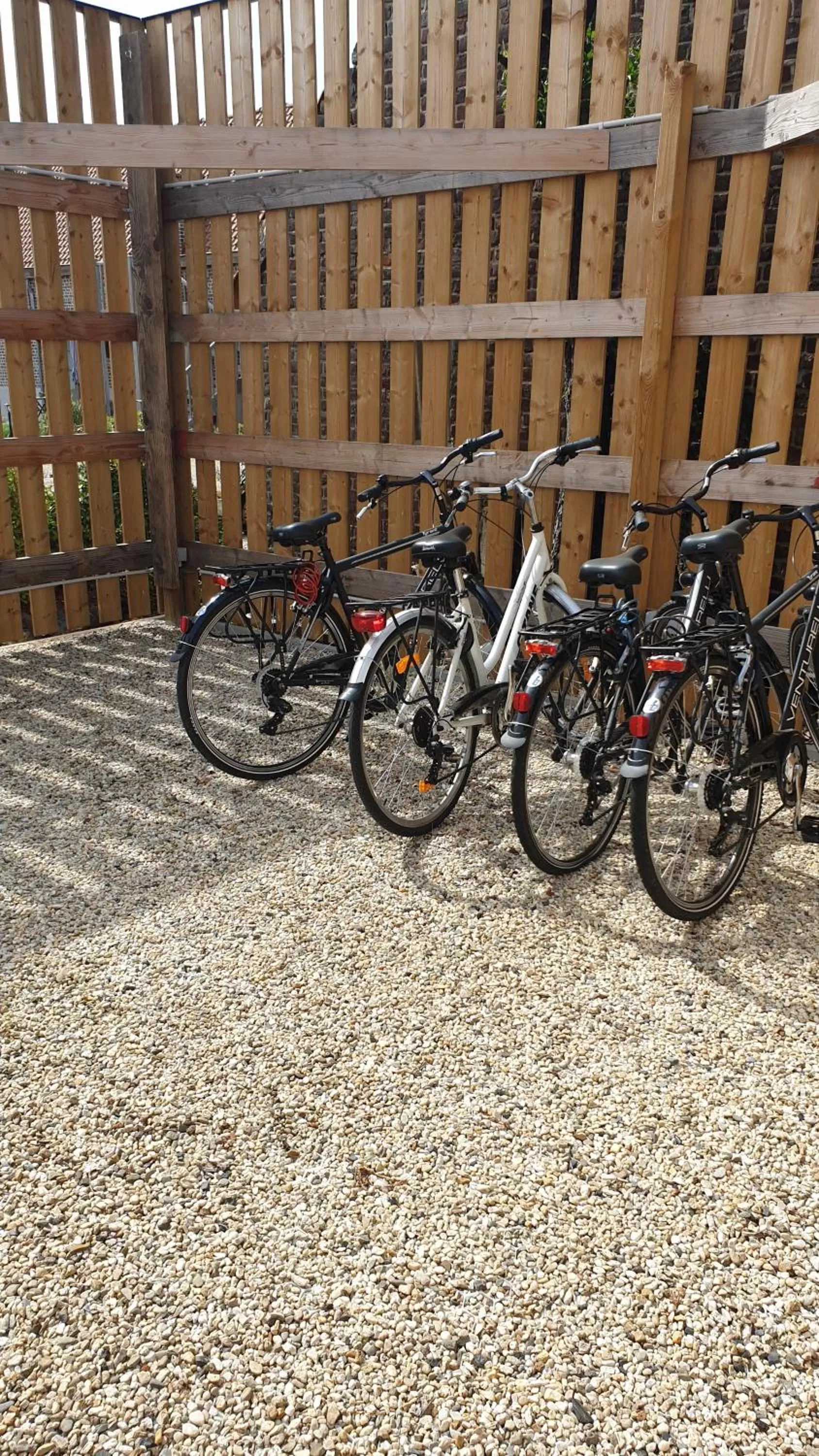 Cycling in B&B 't Meesterhof