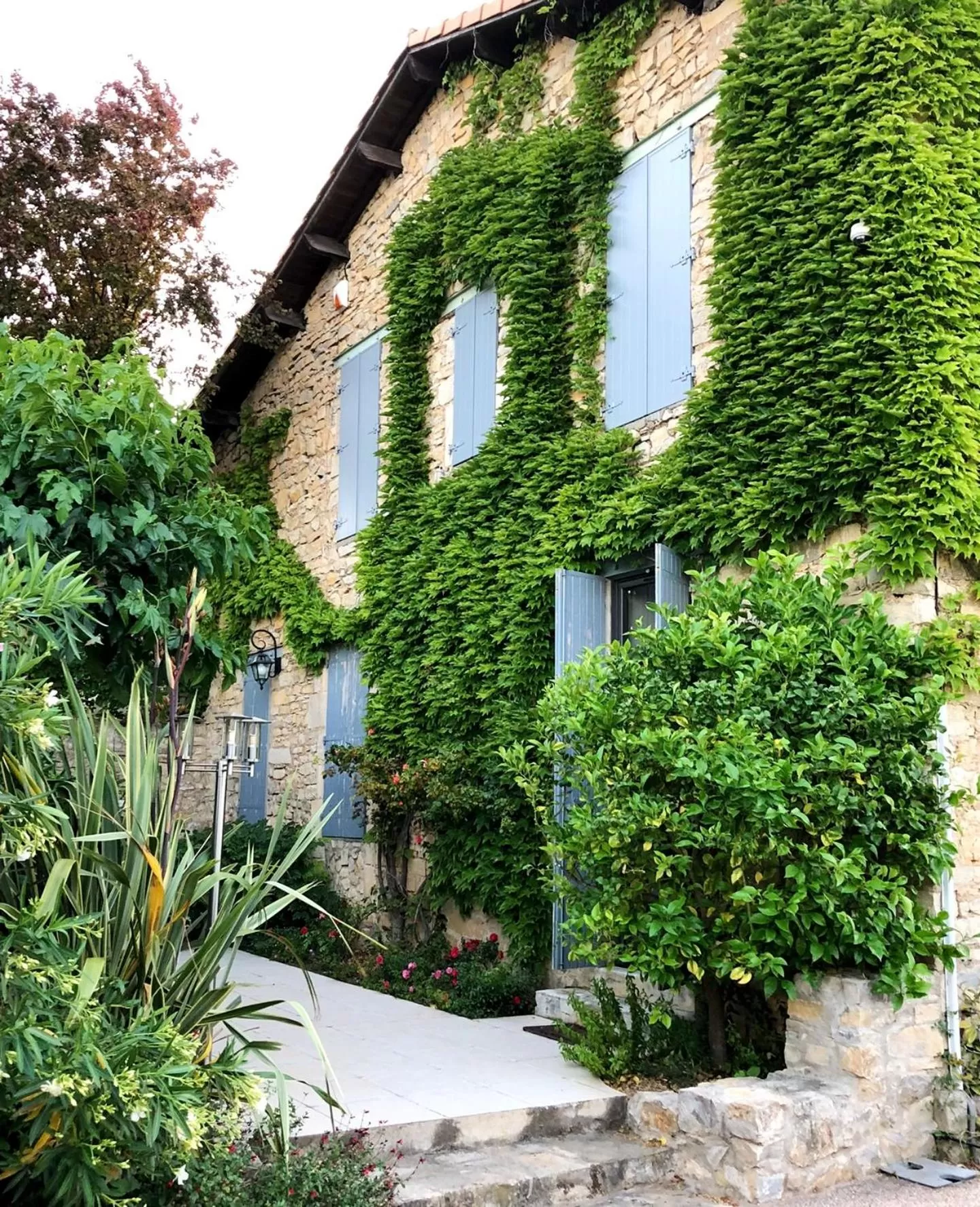 Patio, Property Building in Le Mas des Oliviers Nîmes