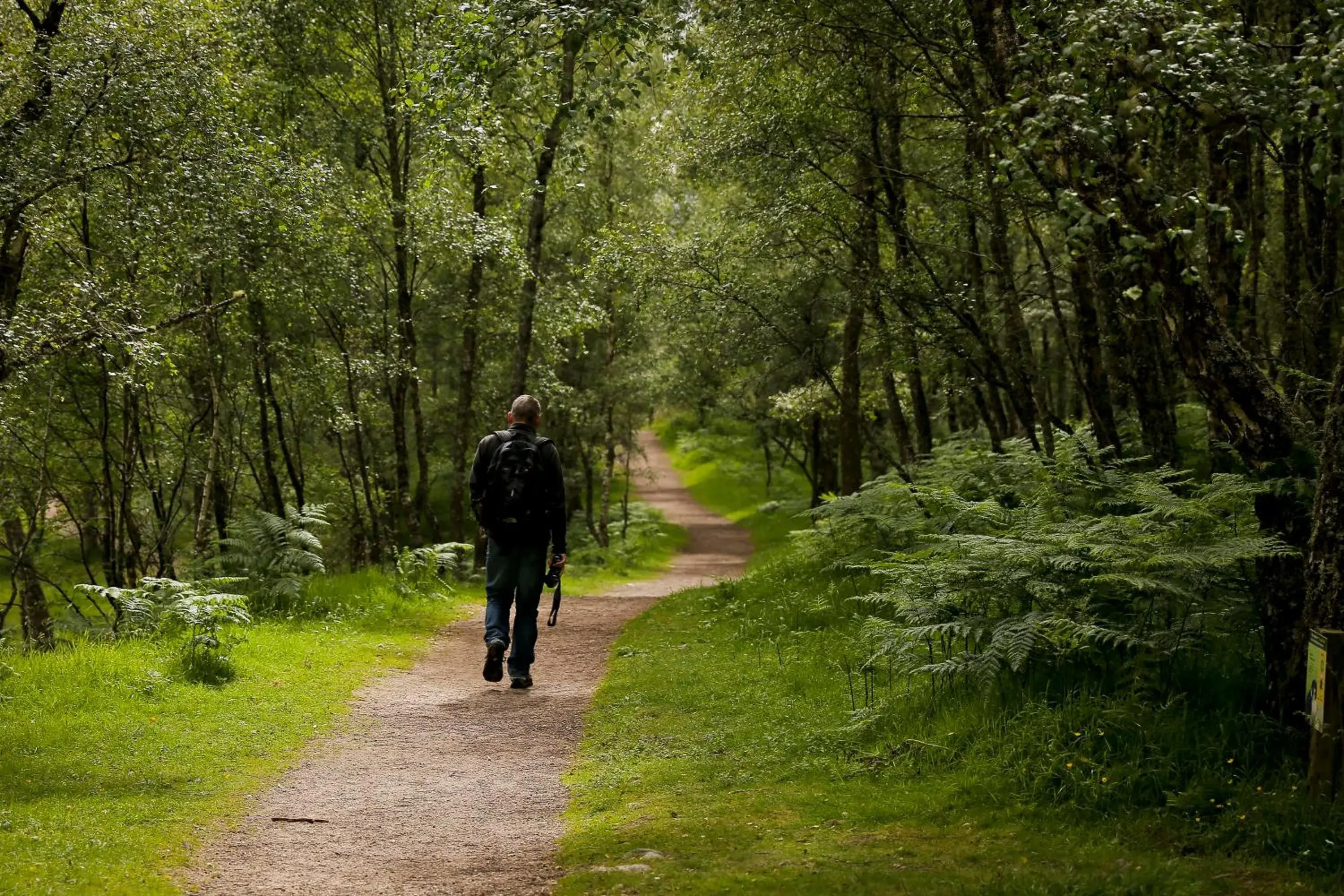 Natural landscape in Aviemore Youth Hostel