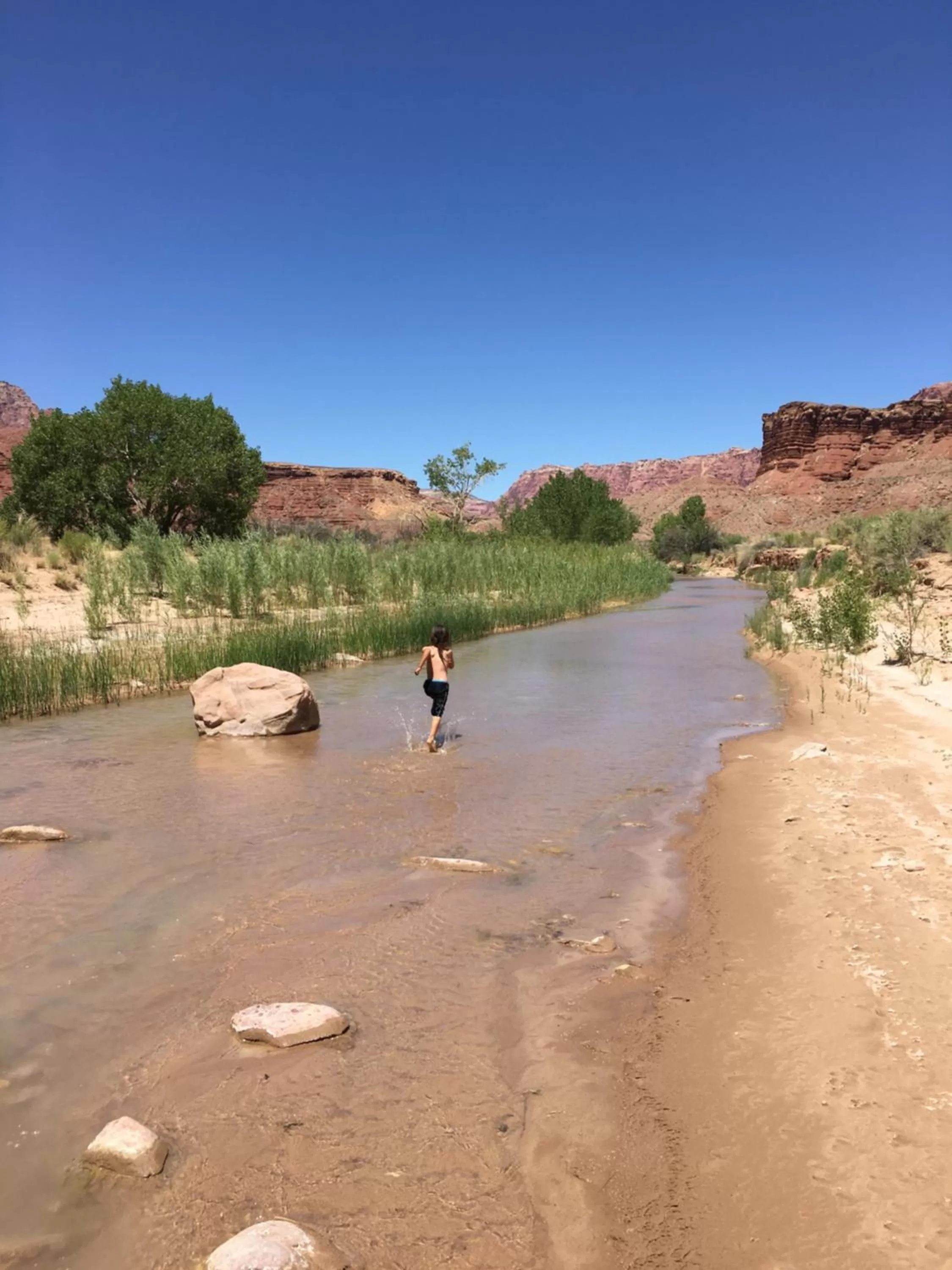 Activities in Shash Dine' EcoRetreat