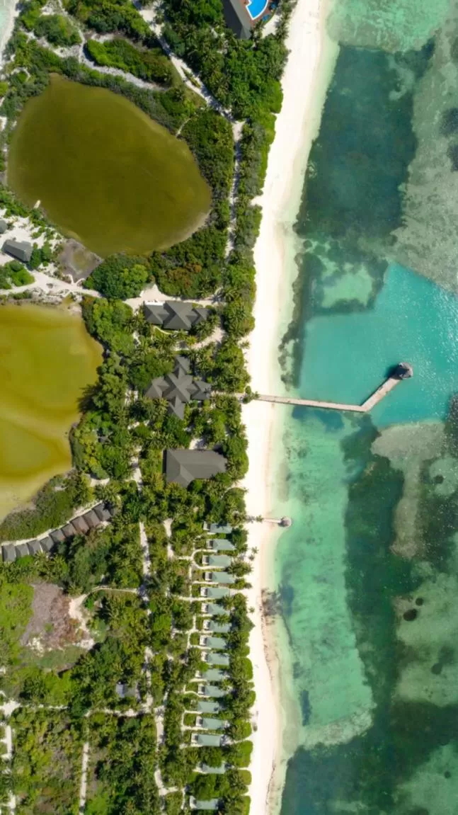 View (from property/room) in Canareef Resort Maldives