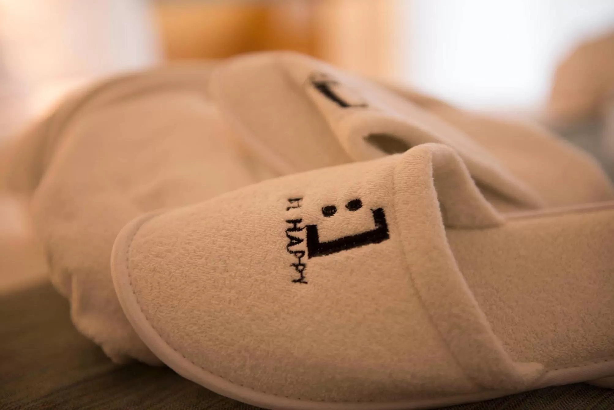 Other in Rochester Hotel Classic