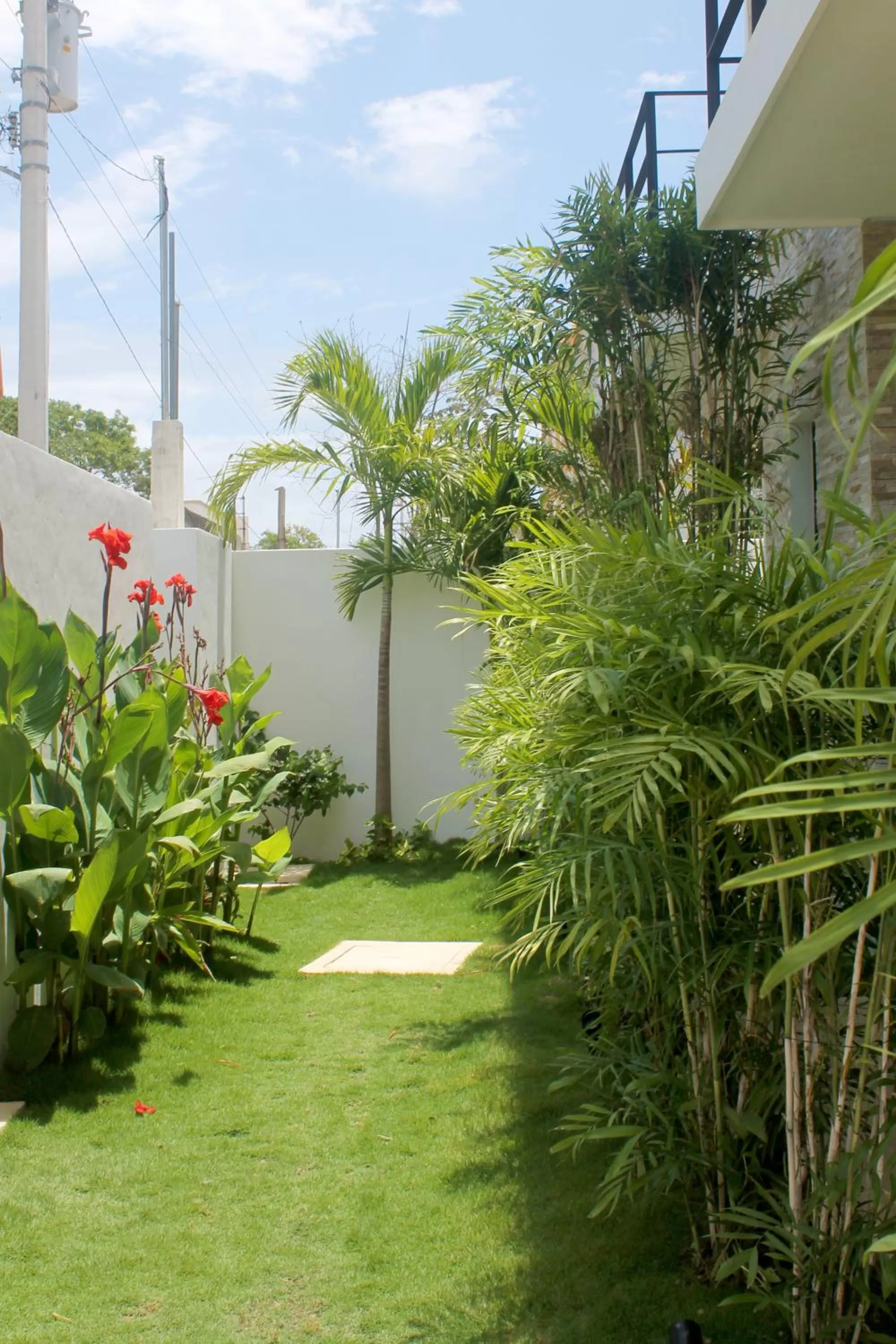 Spring, Garden in Yaax Kiin Tulum