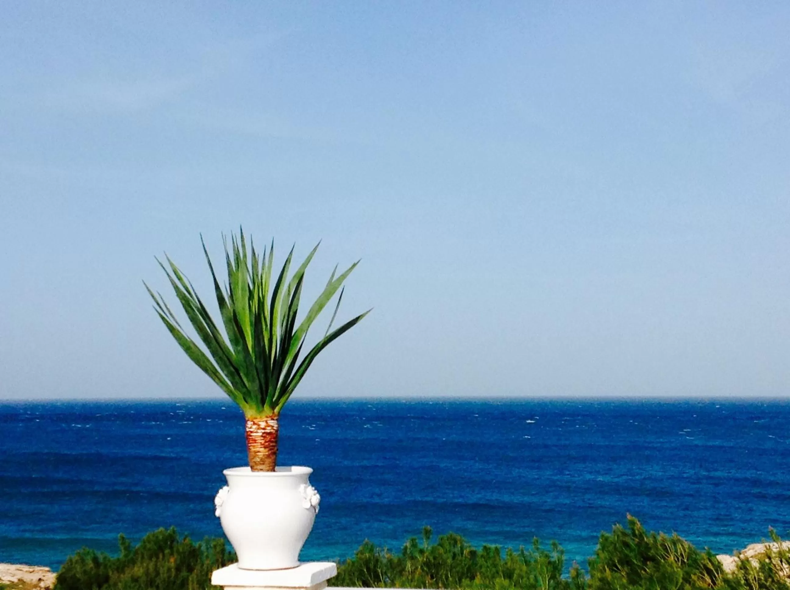 Natural landscape in Playa del Mar - Adults Only