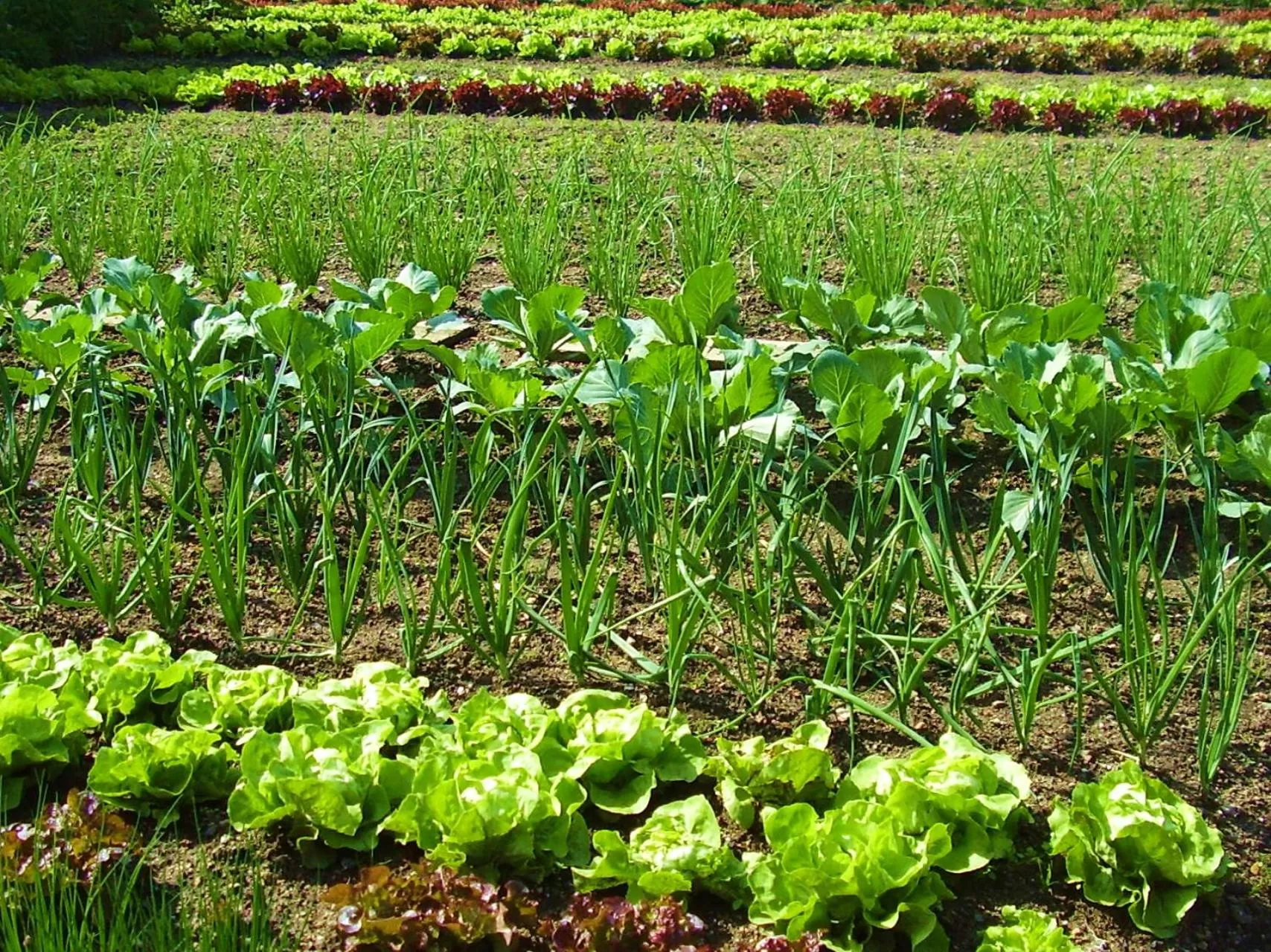 Natural landscape in Cit'Hotel L'Etape