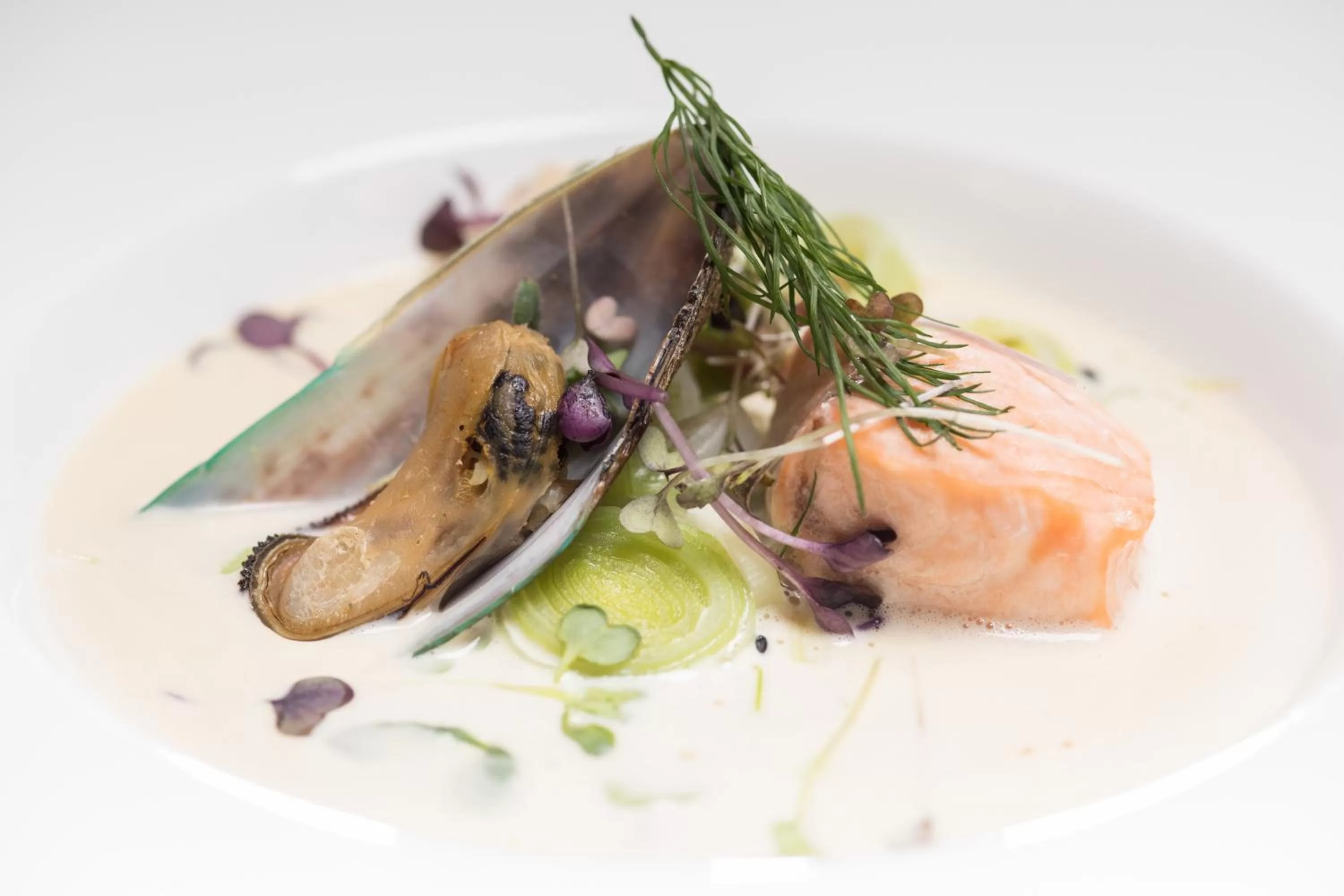 Restaurant/places to eat in Color Hotel Skagen