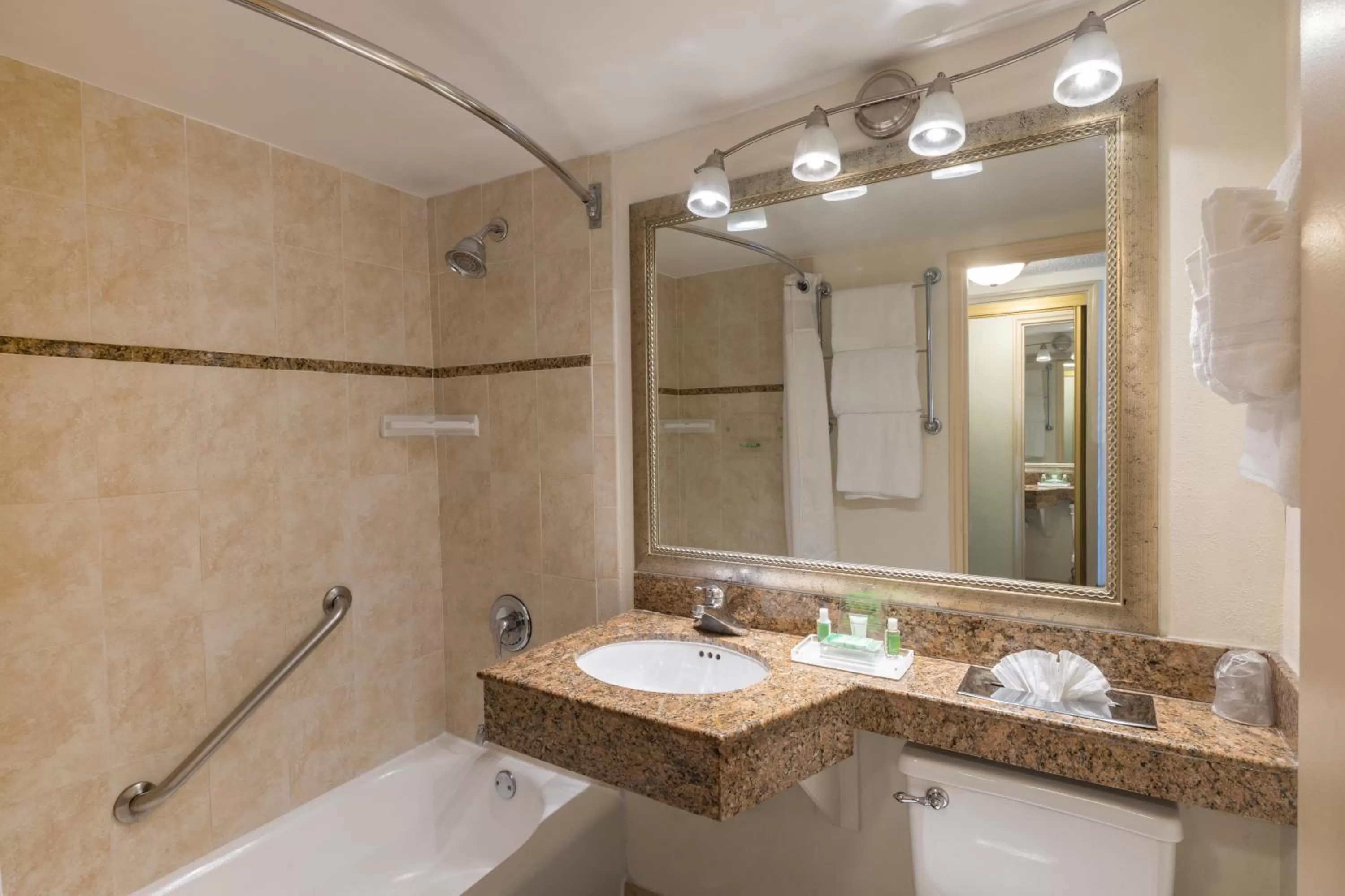 Bathroom in Holiday Inn Hotel Port of Miami-Downtown by IHG