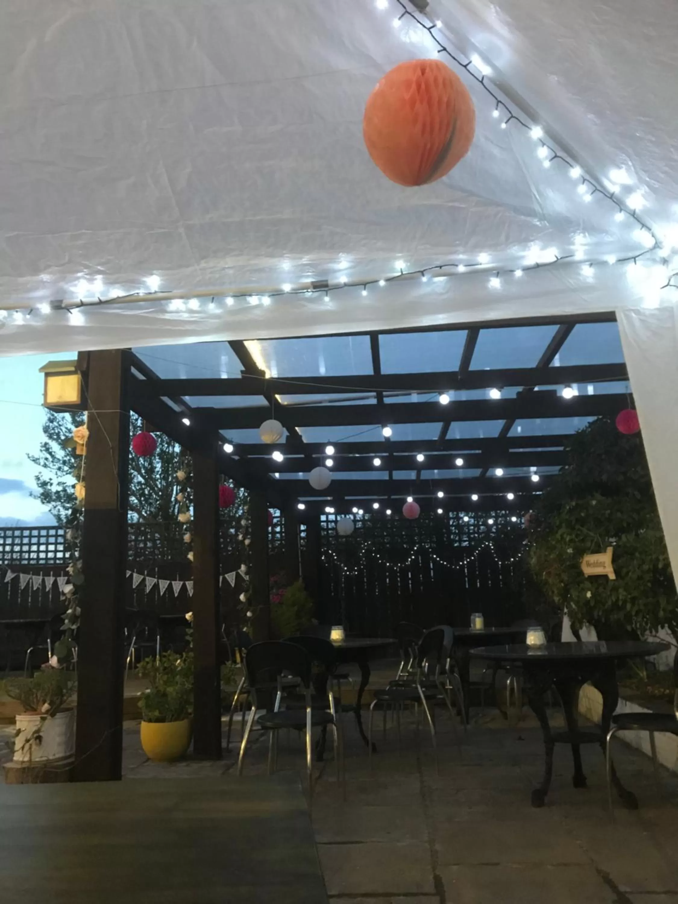 Garden in Albion Boutique Guest House