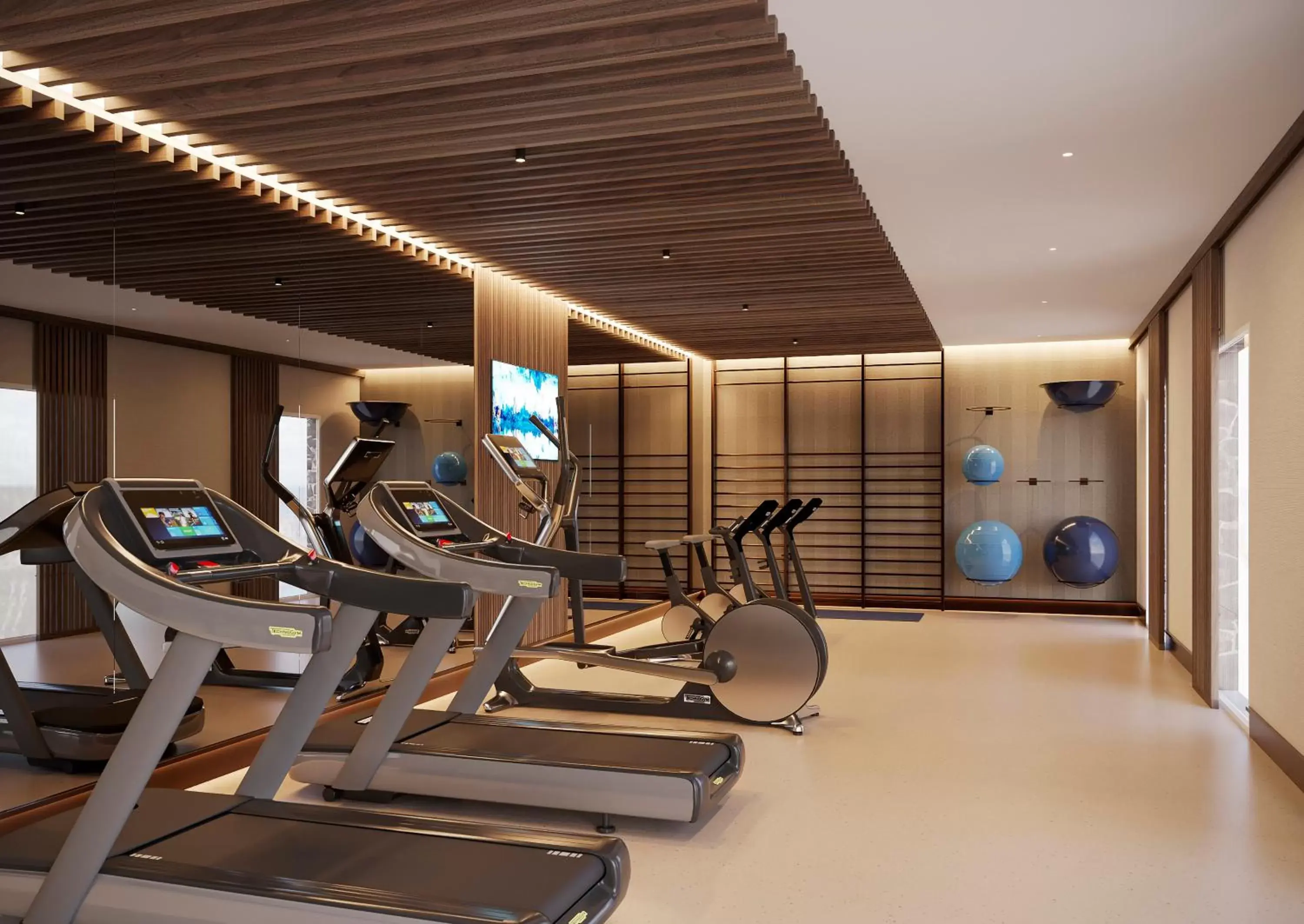 Fitness centre/facilities, Fitness Center/Facilities in Melia Jardines del Teide - Adults Only