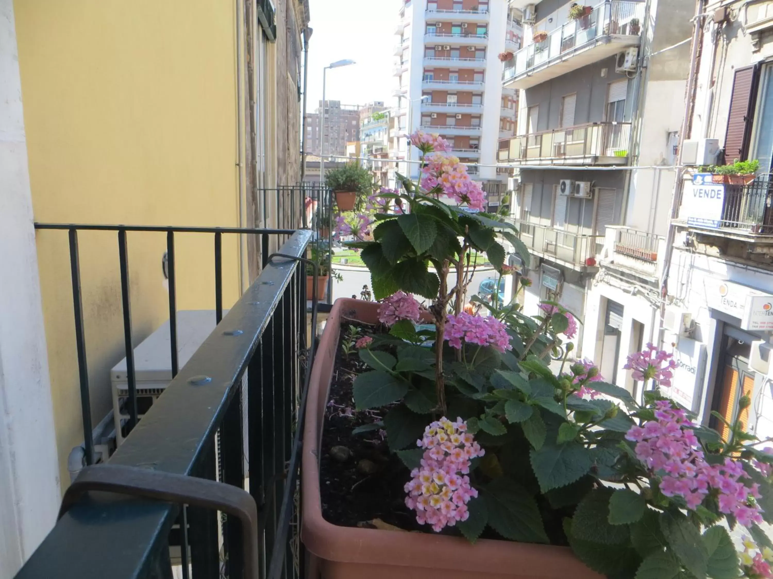 Property building, Balcony/Terrace in Al Mare In Città