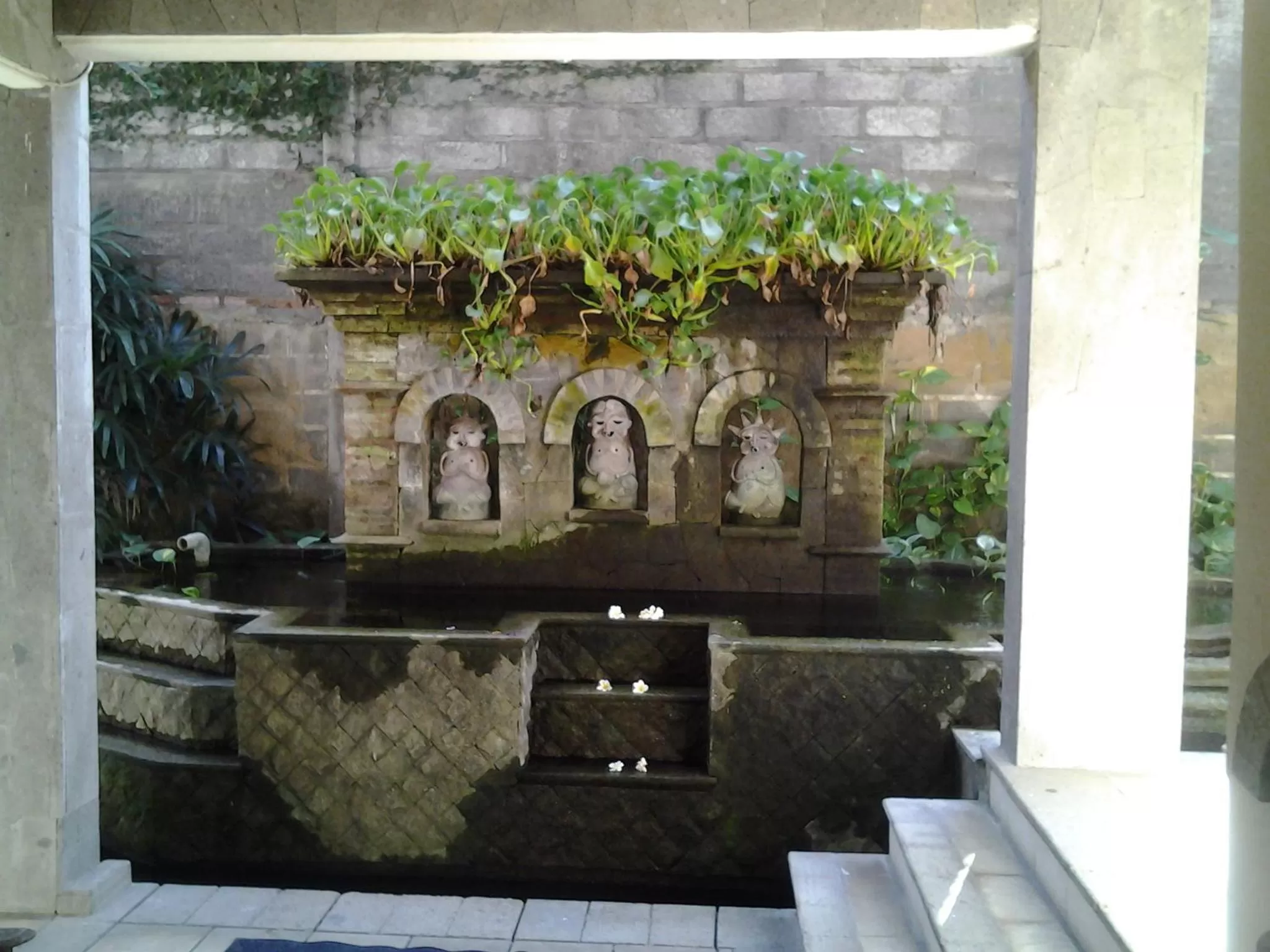 Property building in Nirwana Sea Side Cottages