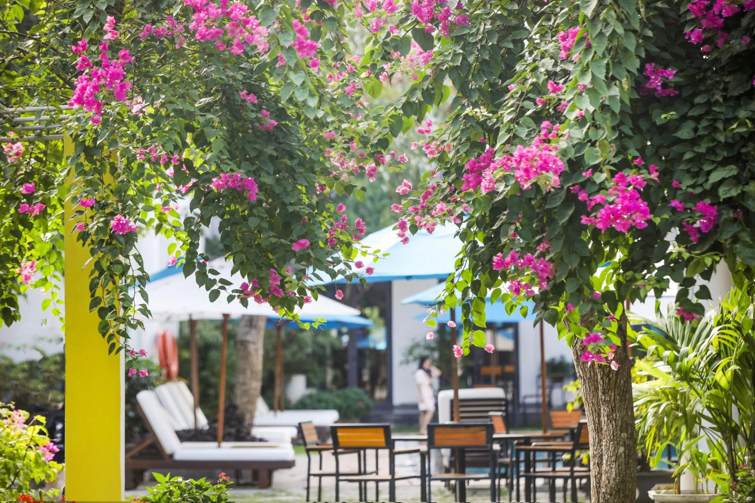 Garden in ÊMM Hotel Hoi An