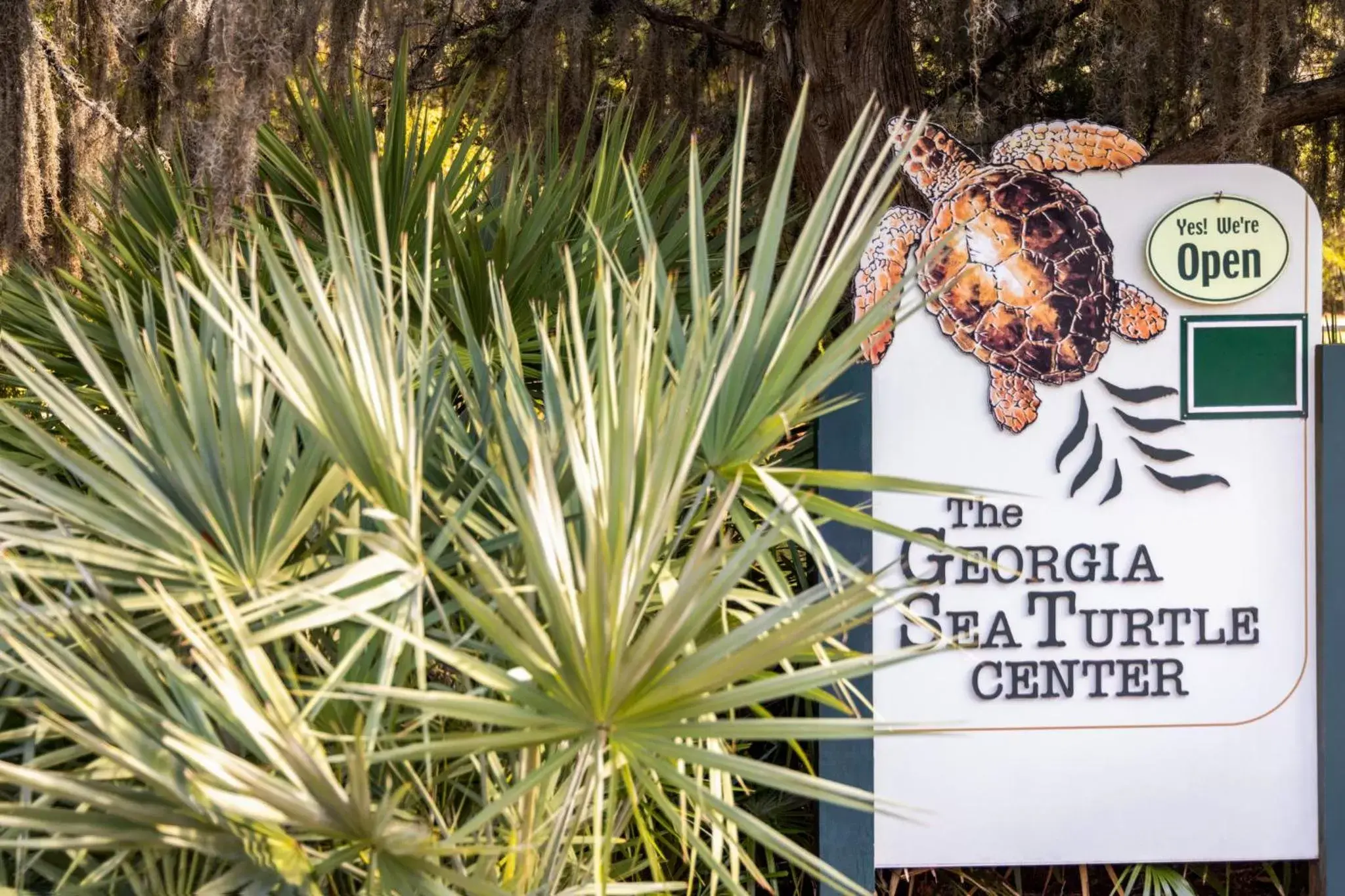 Area and facilities, Property Logo/Sign in Holiday Inn Resort Jekyll Island, an IHG Hotel