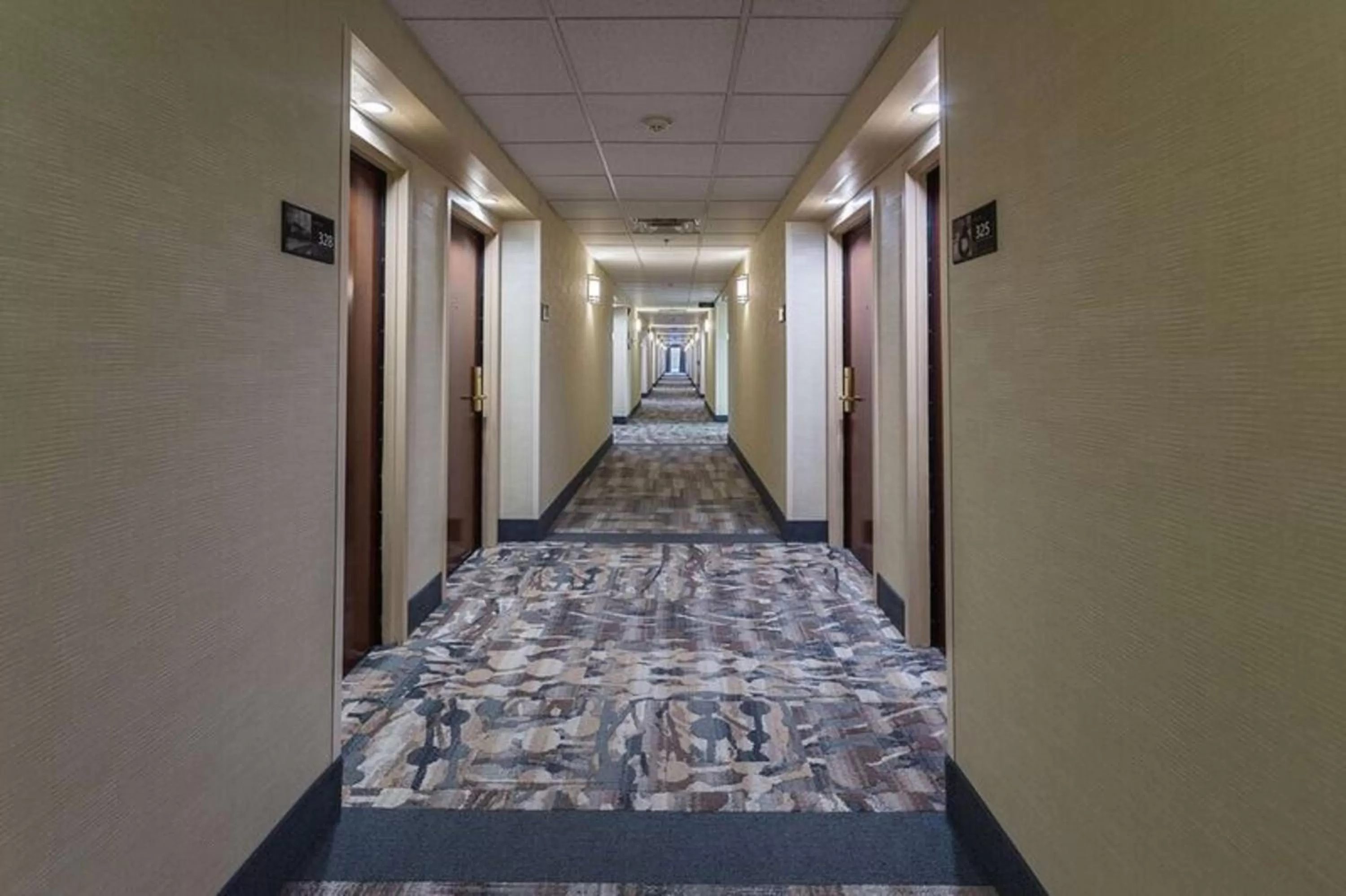 Lobby or reception in Hampton Inn Somerset