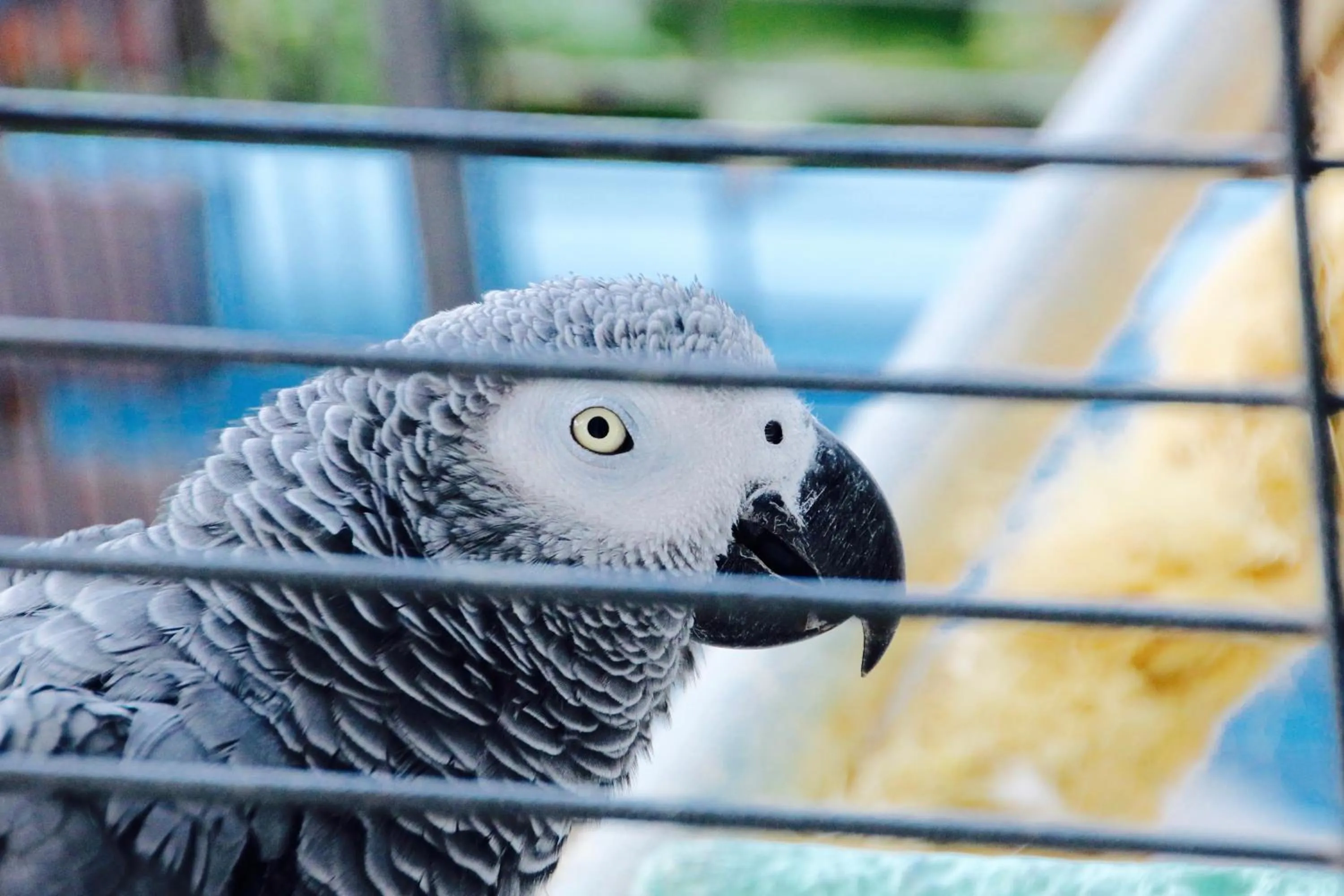 On site in Hotel Rizieri