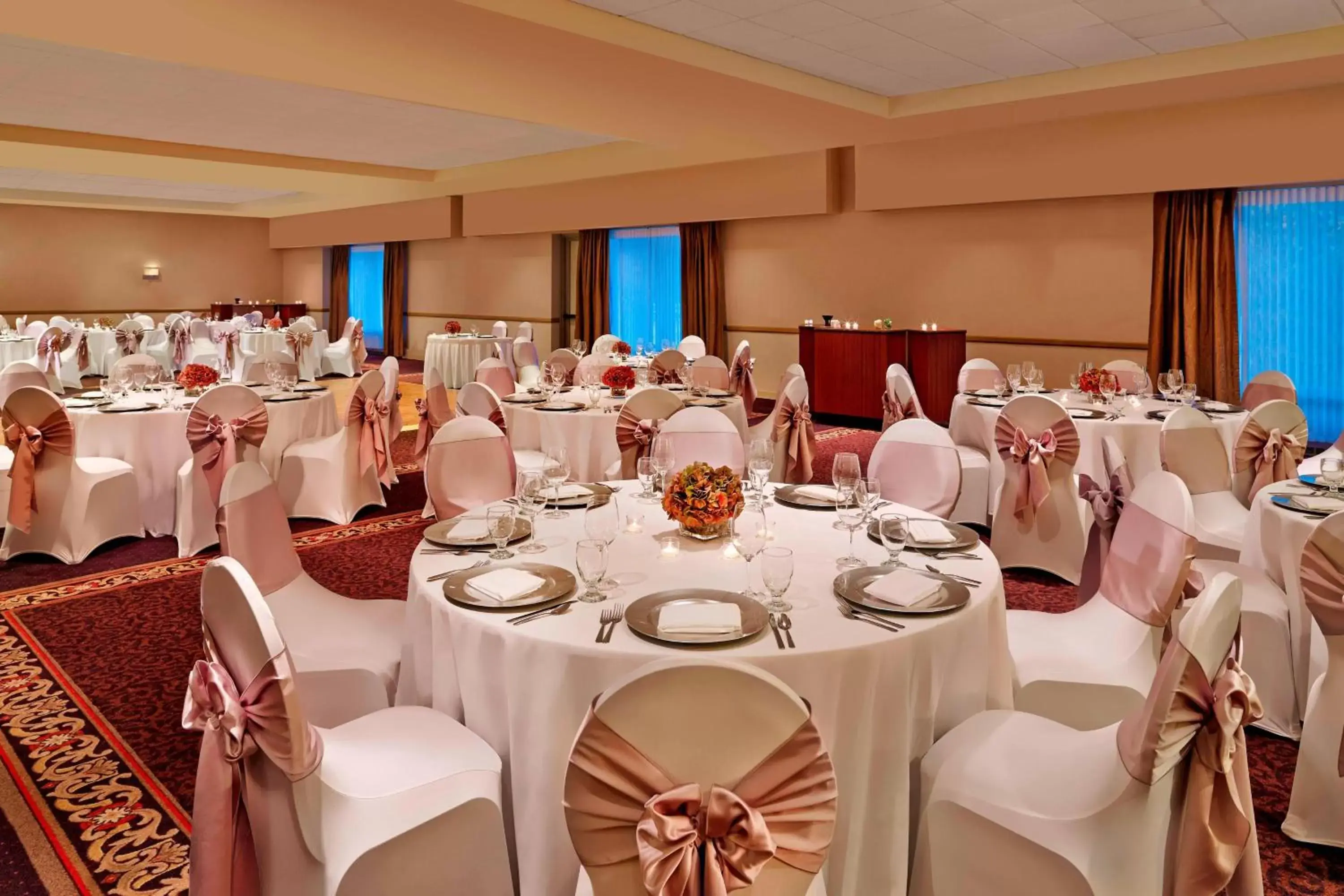 Other, Banquet Facilities in Sheraton Suites Chicago Elk Grove
