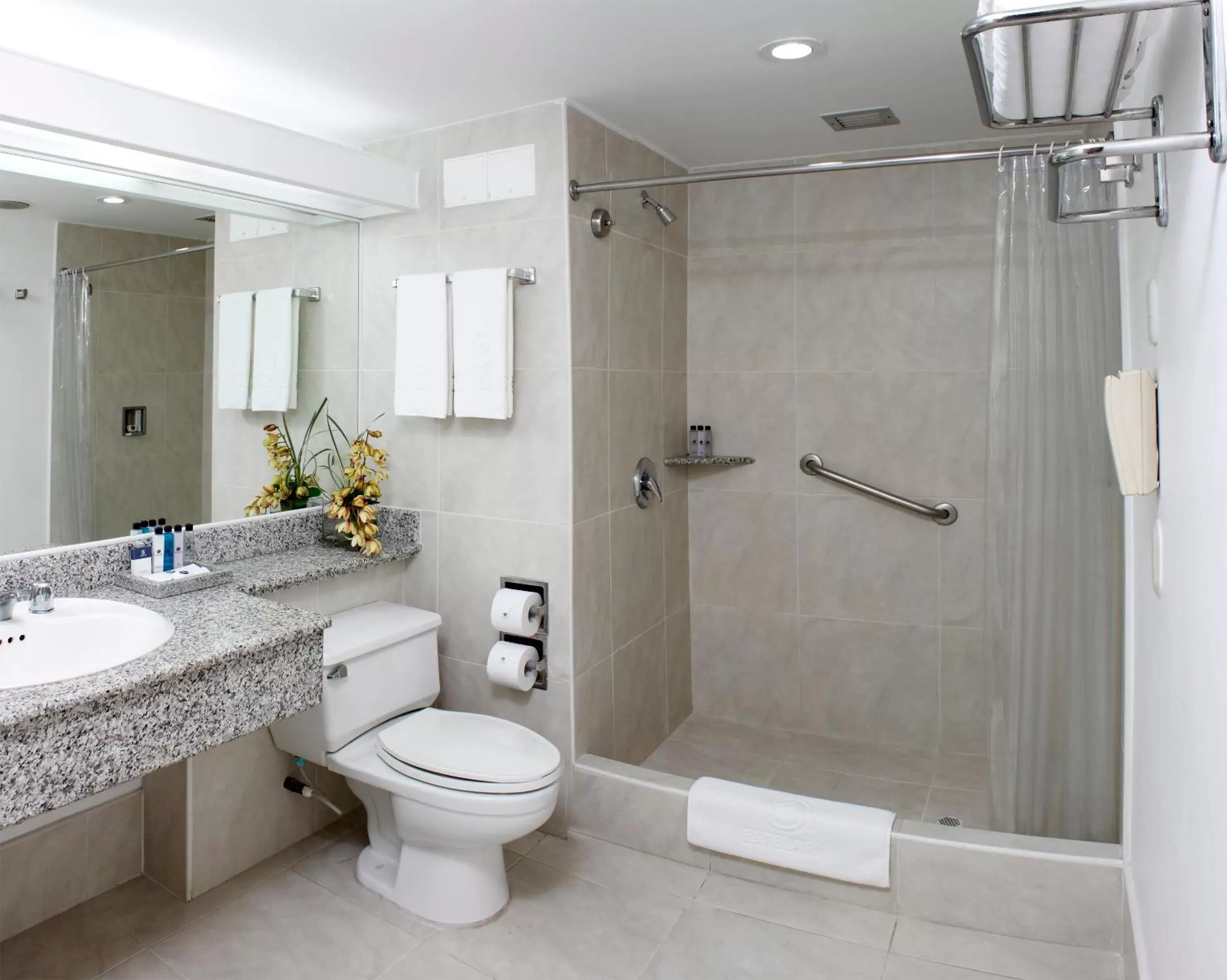 Bathroom in Hotel Estelar Altamira