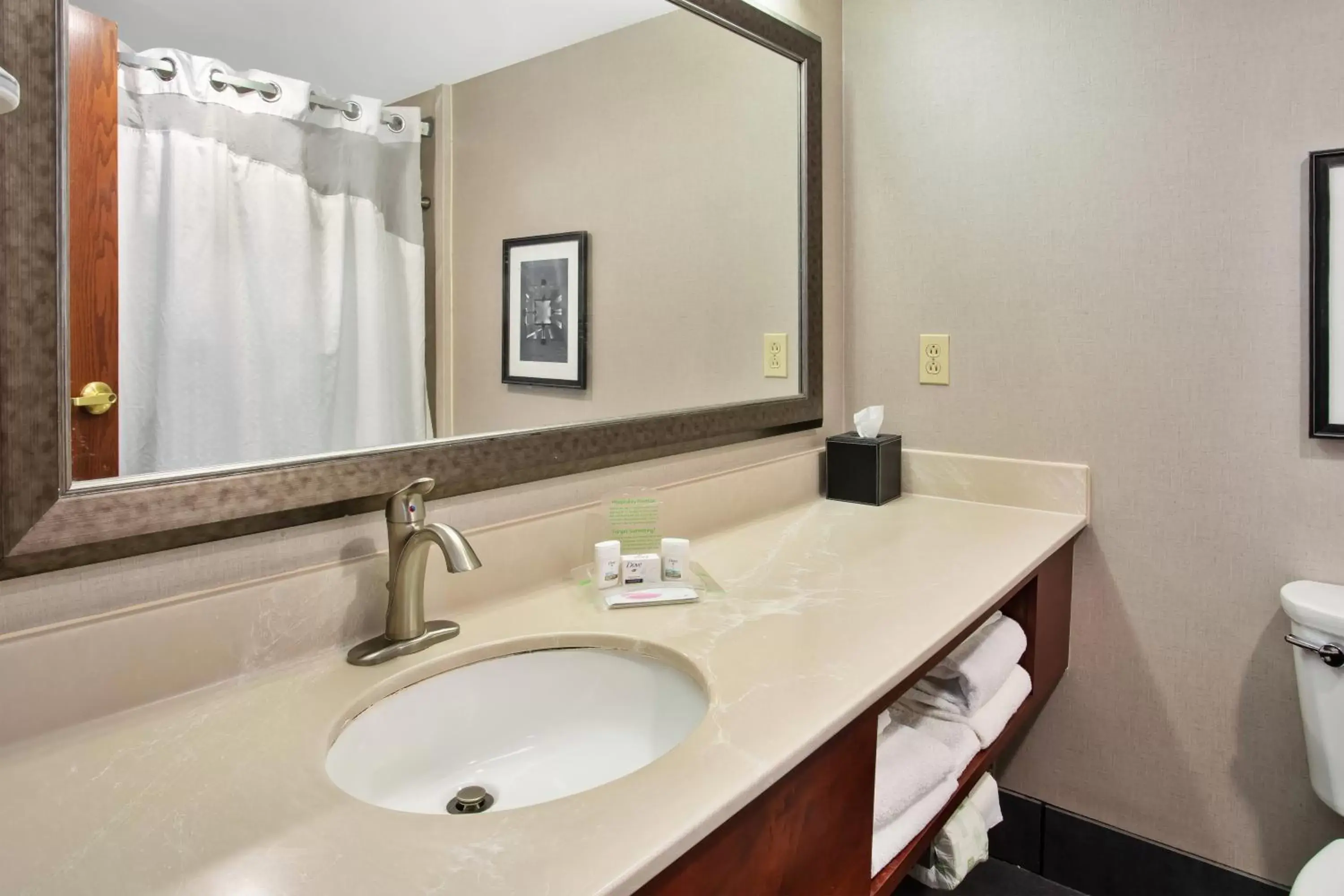 Bathroom in Holiday Inn University Plaza-Bowling Green, an IHG Hotel